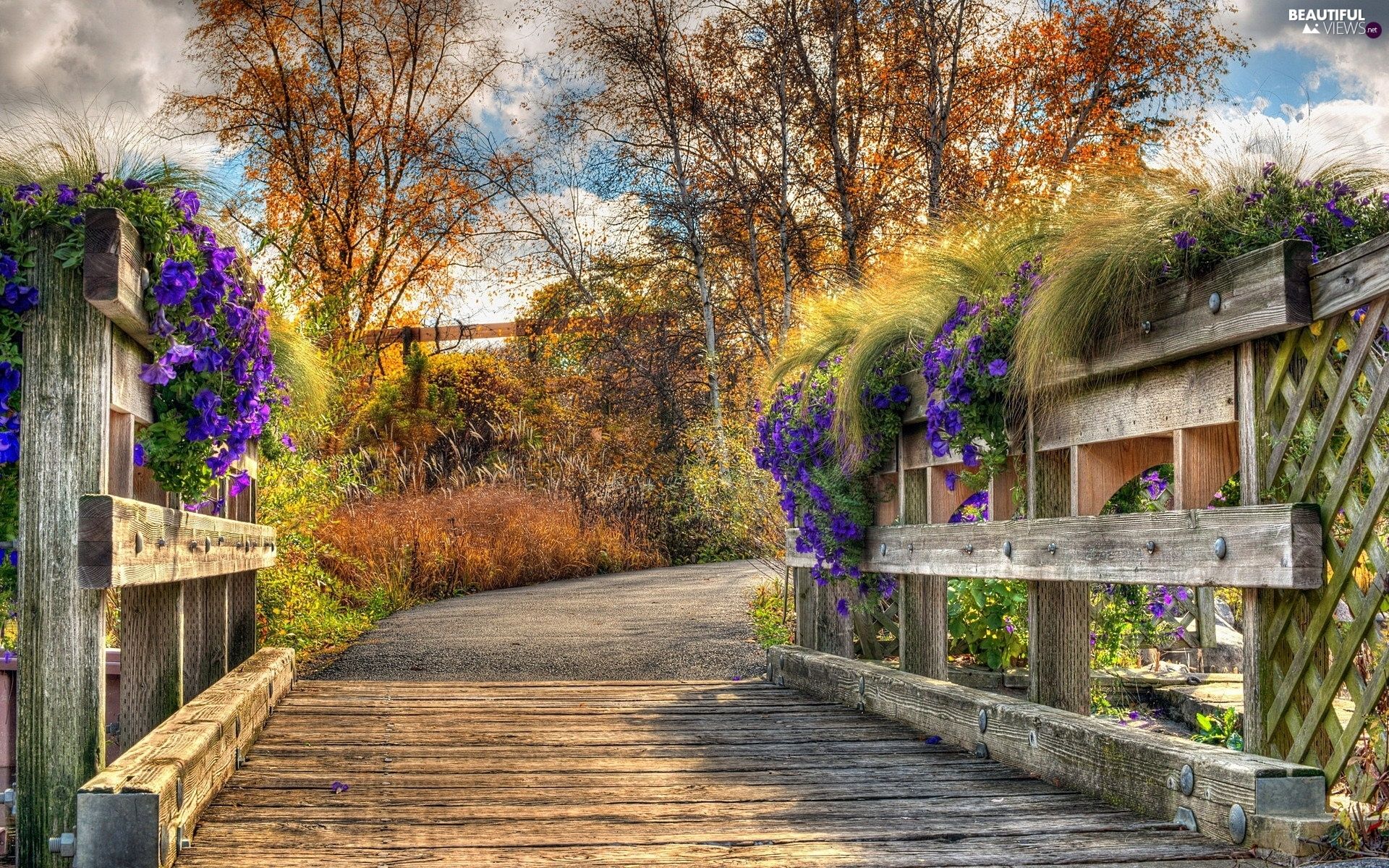 Way, bridges, viewes, Flowers, wooden, trees, autumn views wallpaper: 1920x1200