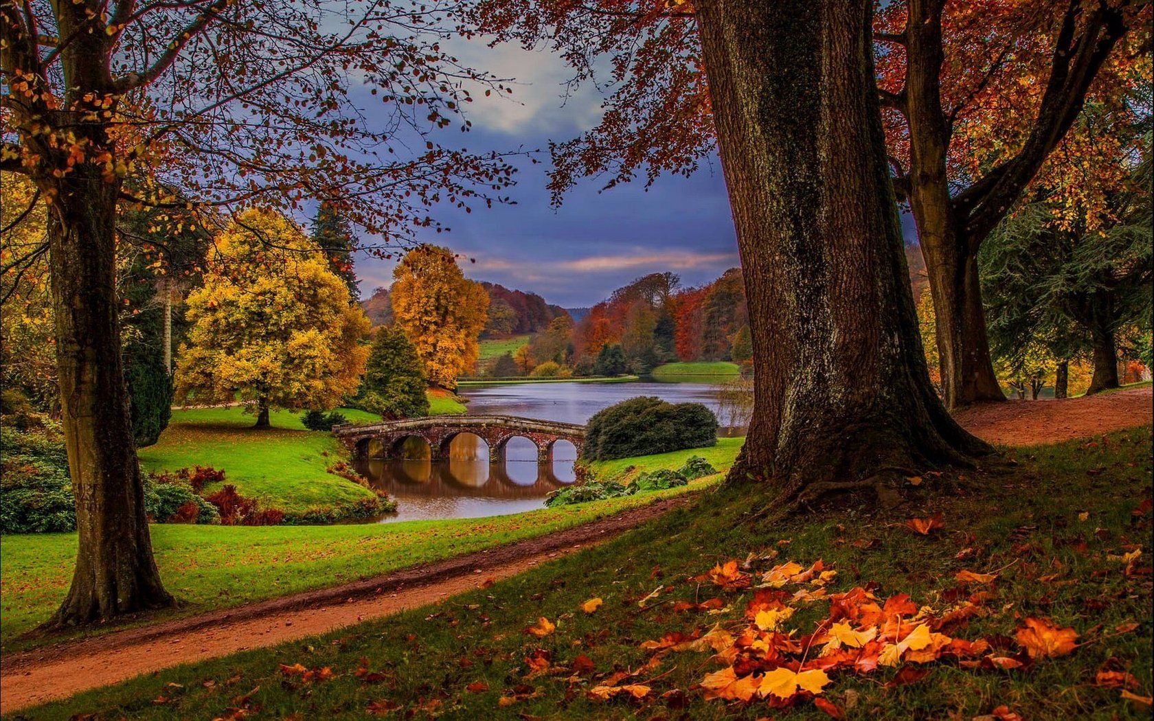Autumn, Bridge Lake, Wiltshire, Stourhead Garden, South England. Landscape trees, Nature tree, Autumn nature