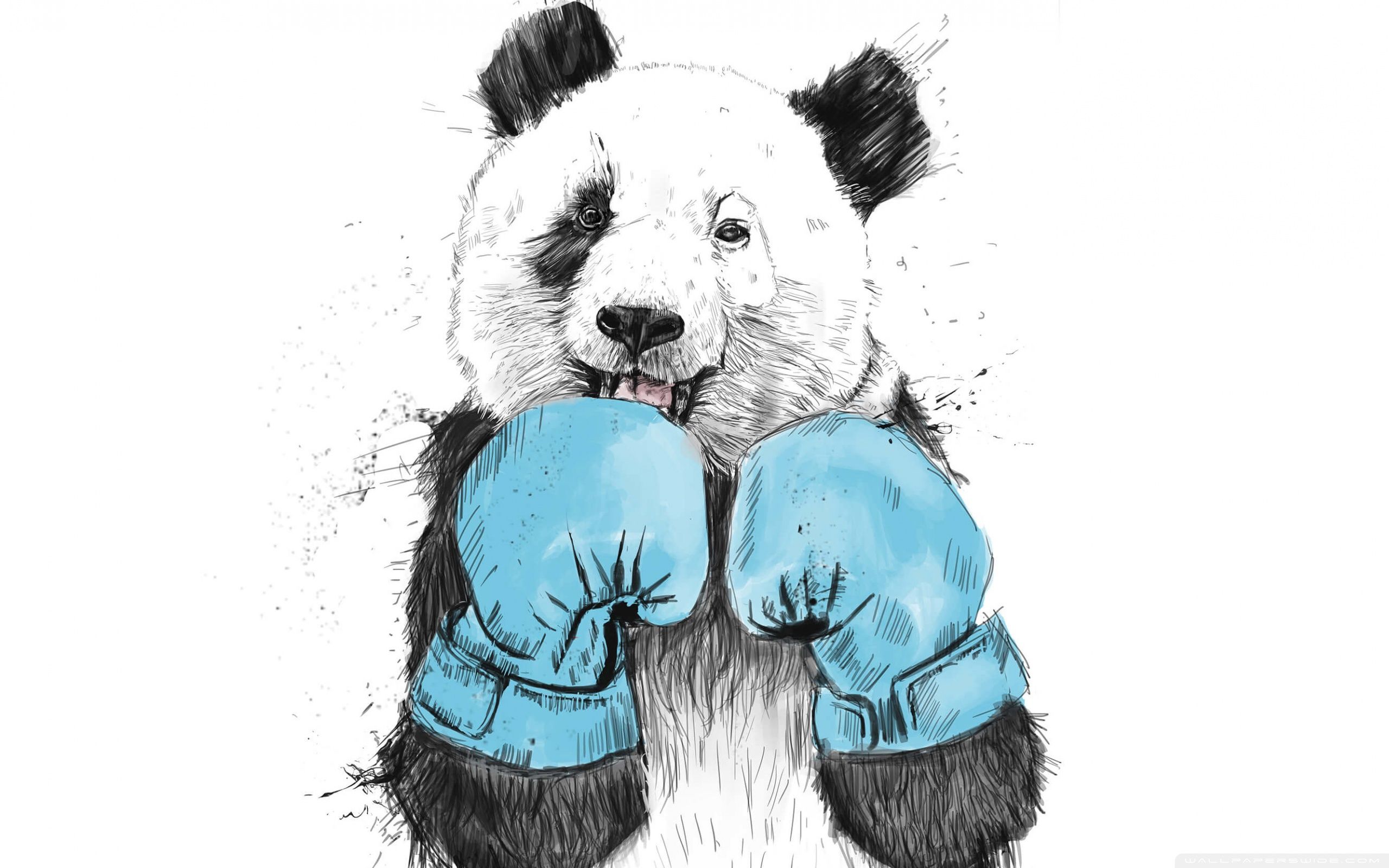 Download Minimalist Panda UltraHD Wallpaper