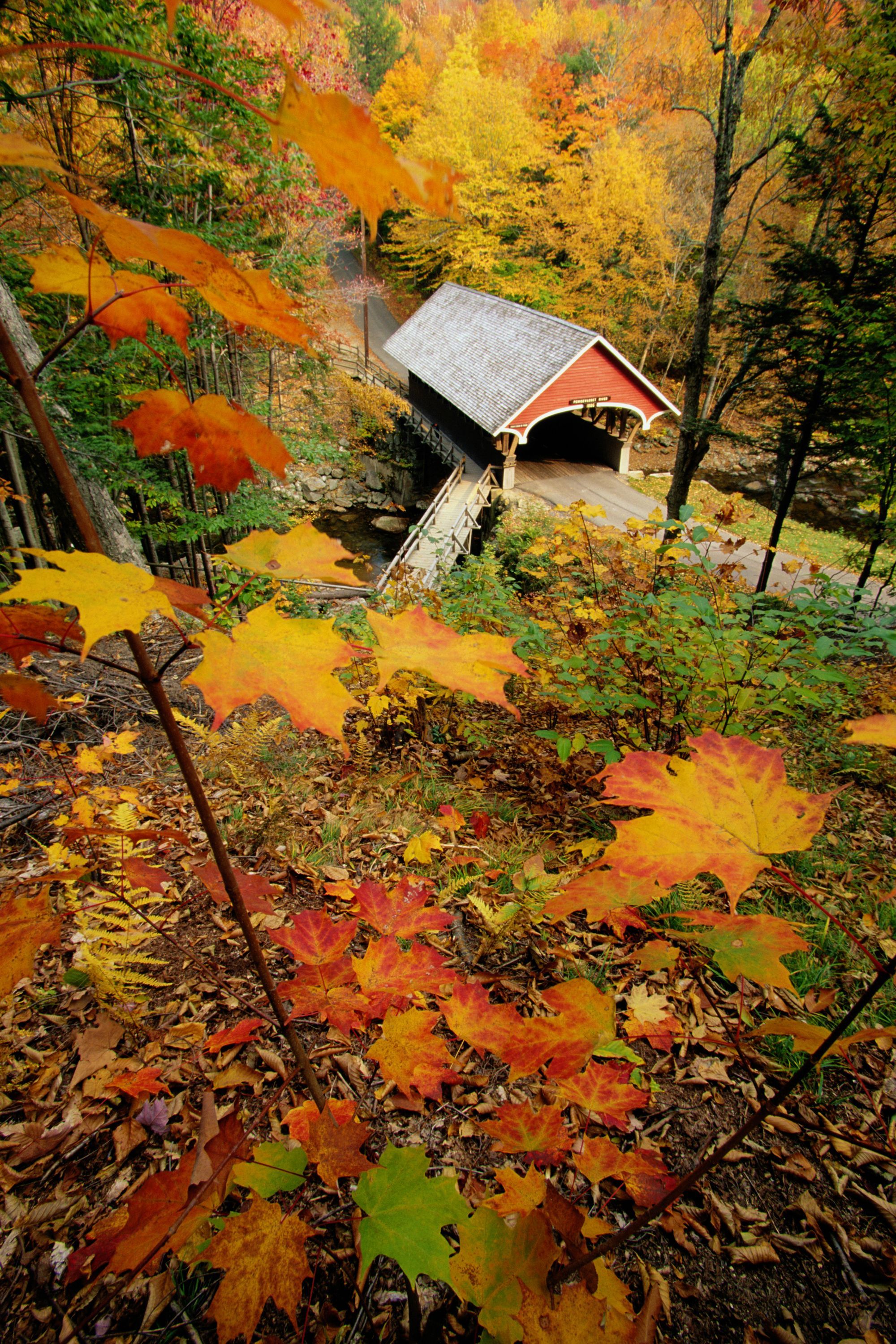 Pretty Autumn Covered Bridge Picture