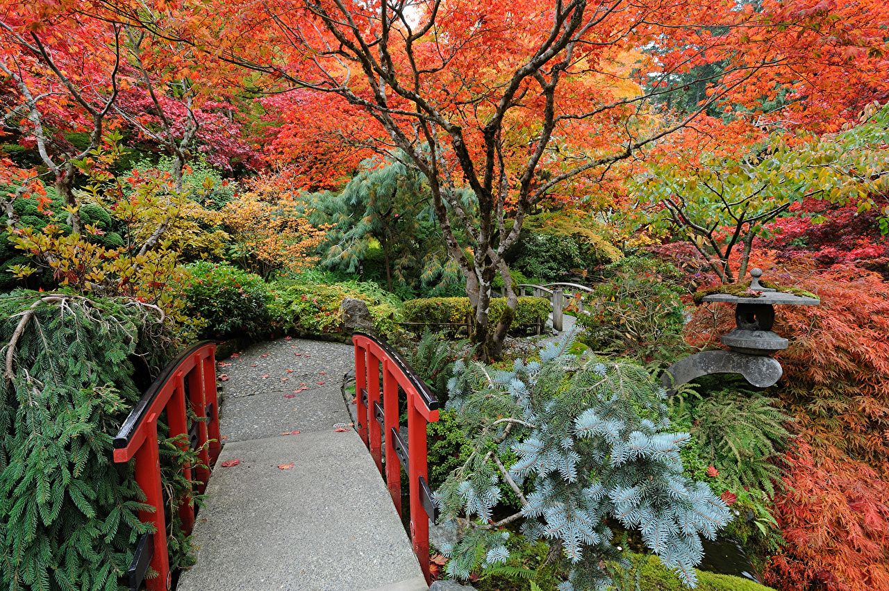 Photos Vancouver Canada Butchart Gardens Autumn Nature Bridges Parks