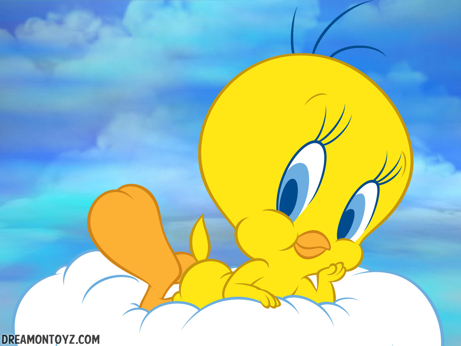 Free download Gifs Photographs Tweety Bird cloud wallpaper and background [1600x1200] for your Desktop, Mobile & Tablet. Explore Tweety Wallpaper for Desktop. Free Tweety Wallpaper, Sylvester and