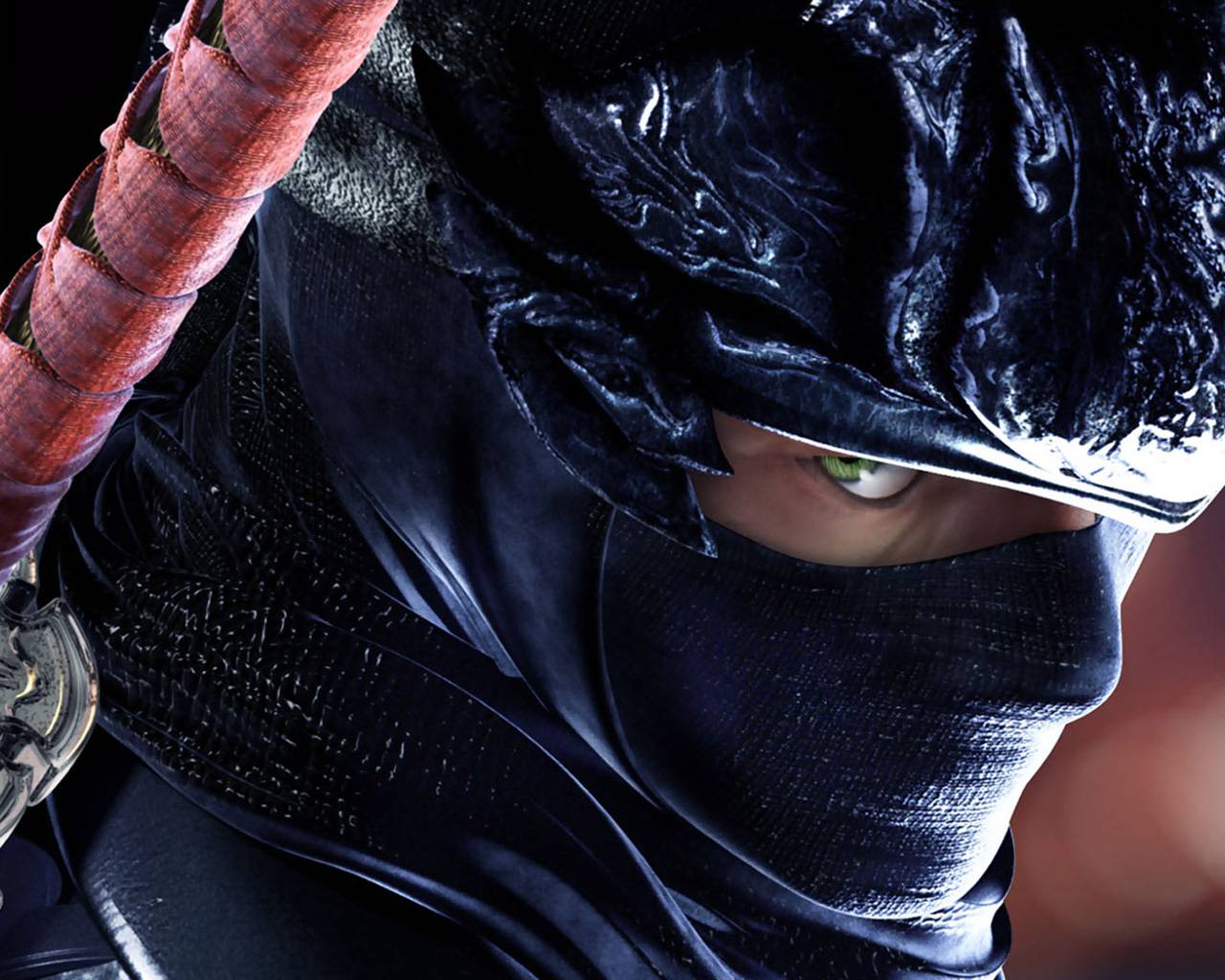 Ninja Gaiden 3 Wallpaper in HD