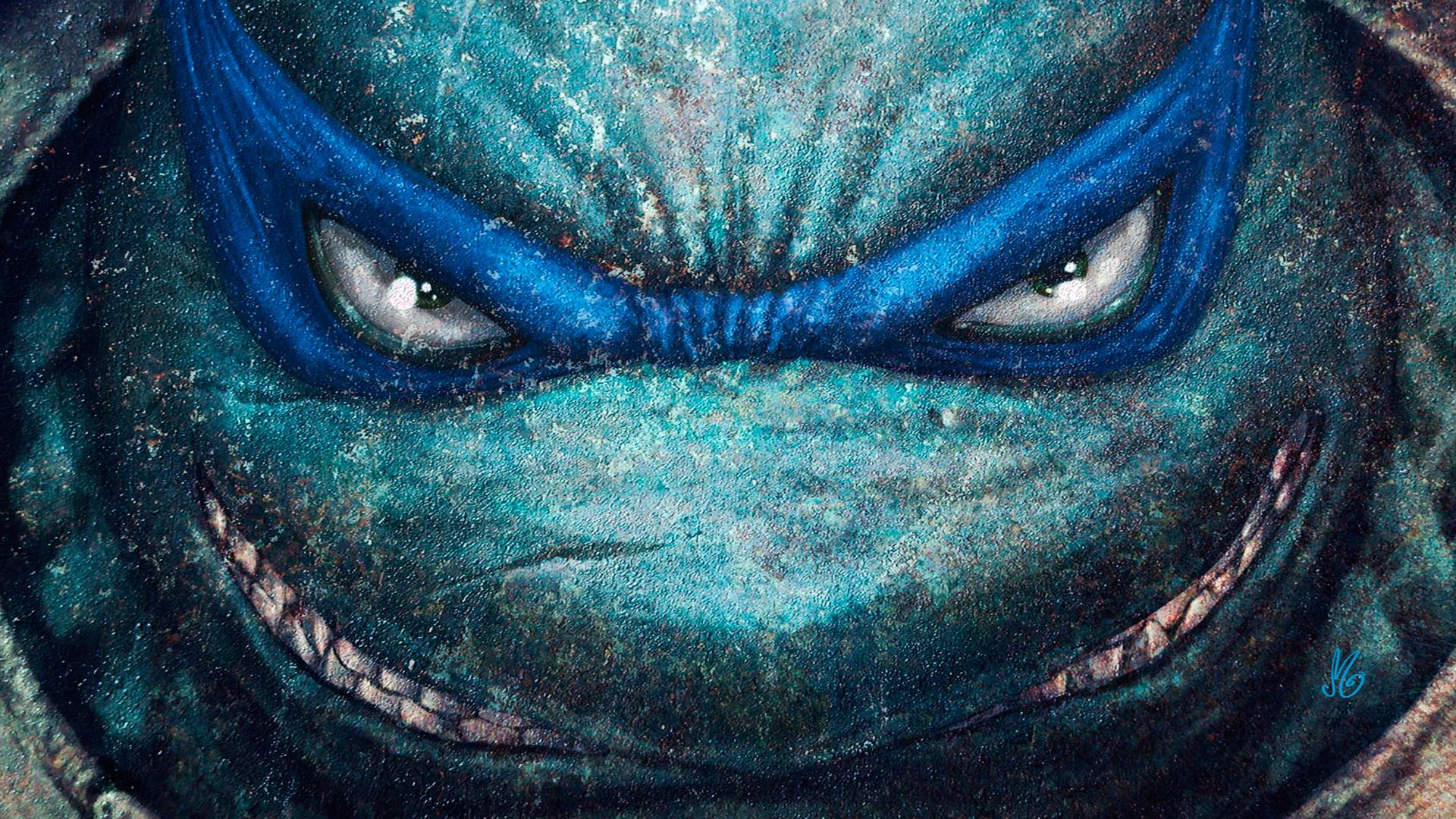 Desktop Wallpaper Teenage Mutant Ninja Turtle Angry Face, HD Image, Picture, Background, Vunghq