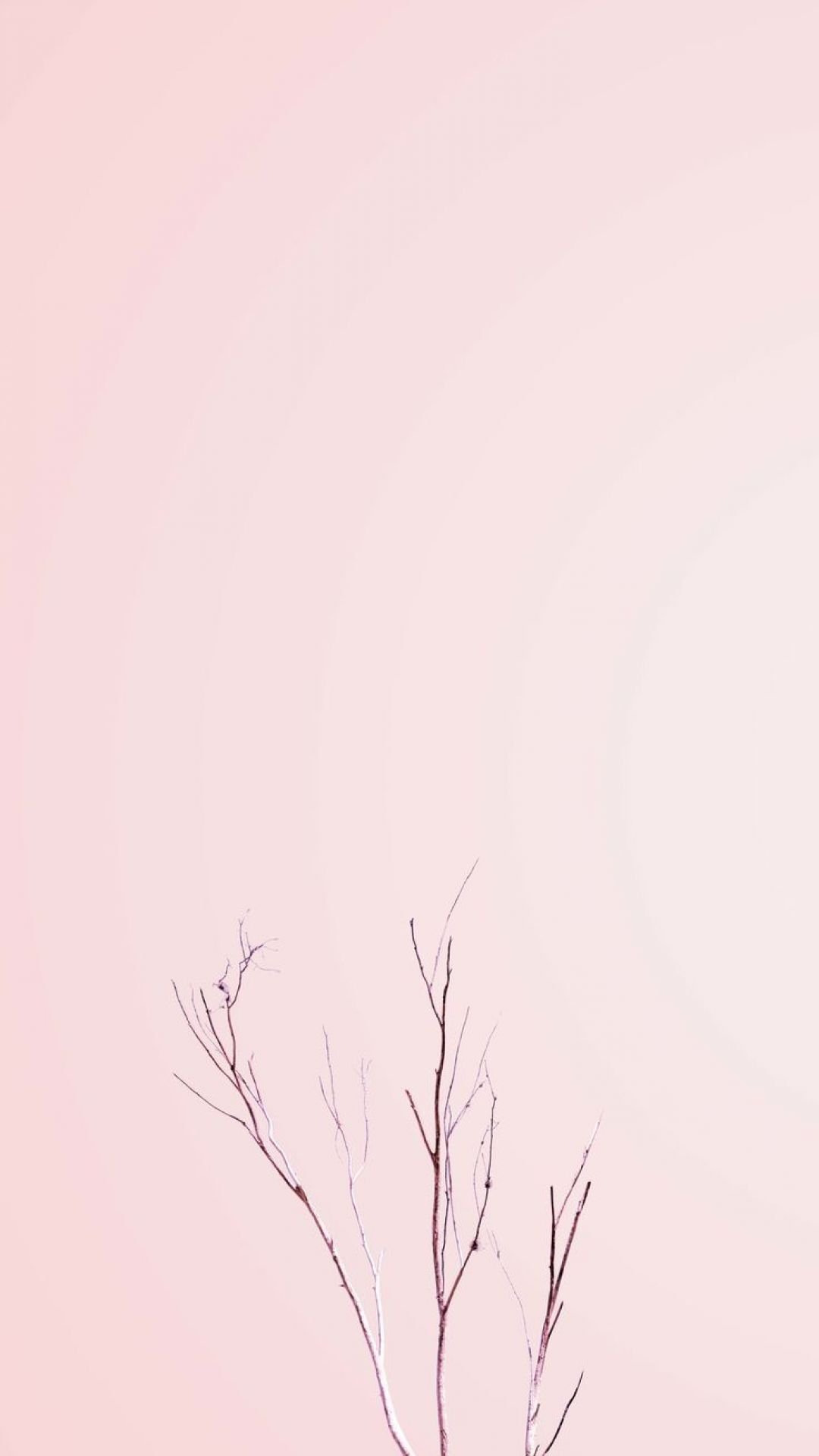 Aesthetic Minimal, iPhone, Desktop HD Background / Wallpaper (1080p, 4k) (1080x1919)