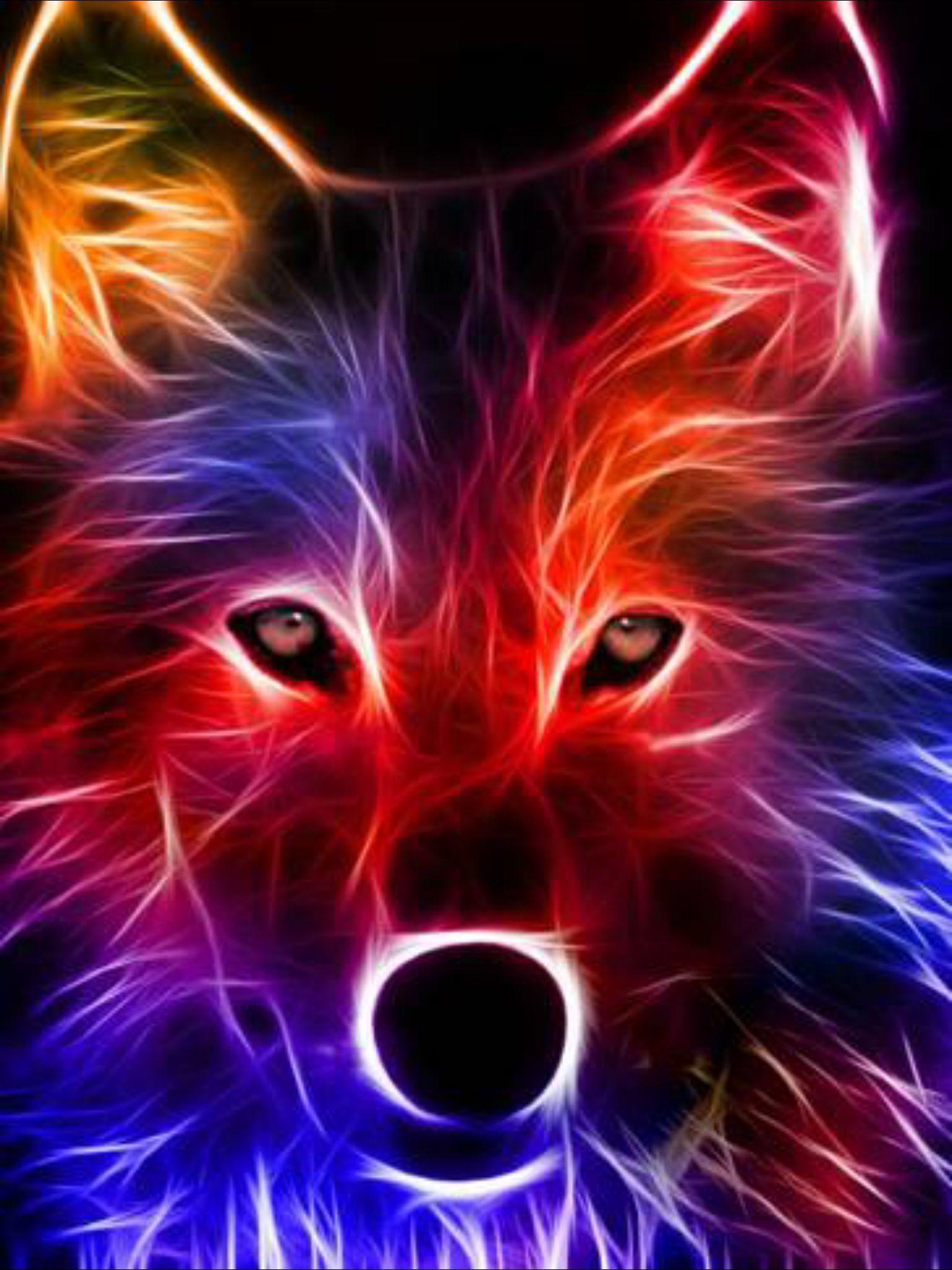 Colorful Cool Wolves Wallpaper