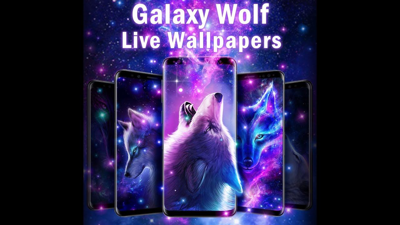Night Sky Wolf Live Wallpaper by 3D Theme & HD Live Wallpaper detailed information than App Store & Google Play by AppGrooves Similar Apps, 3 Features & 775 Reviews