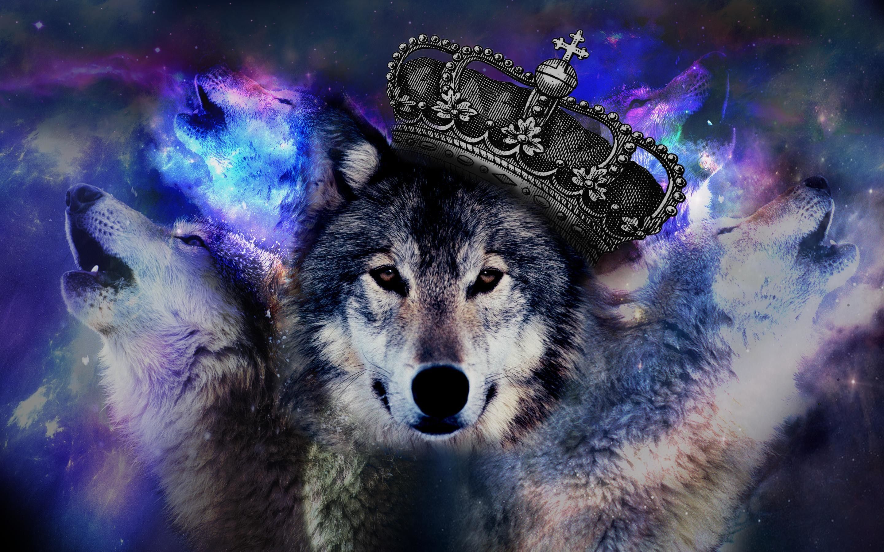 Wolf Galaxy Background