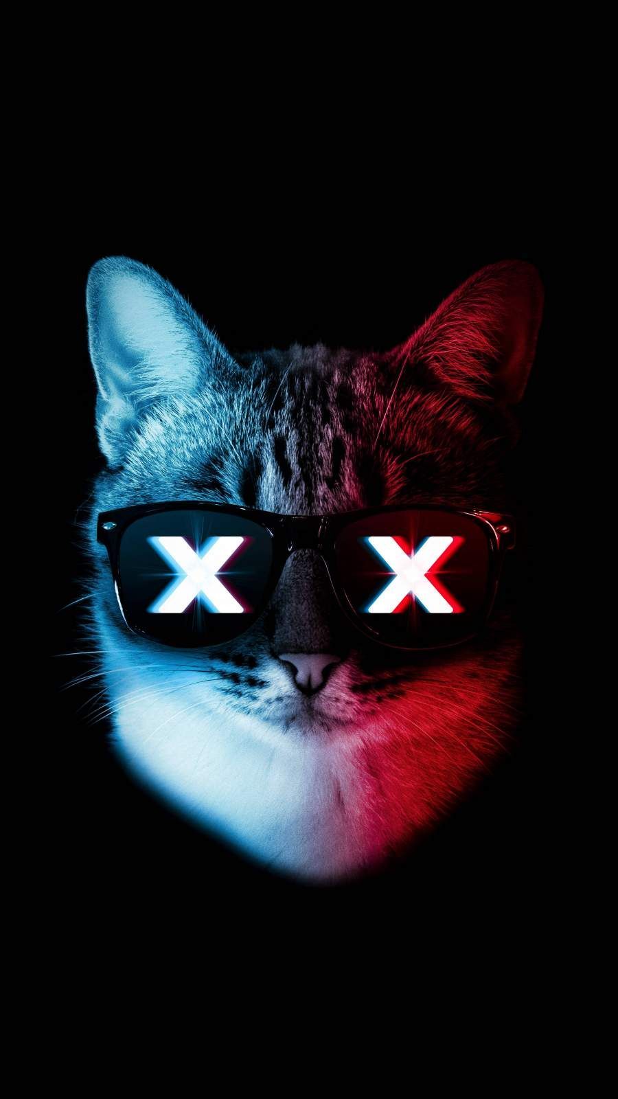 Glitch Cat iPhone Wallpaper. Binatang, Ilustrasi desain grafis, Seni kucing