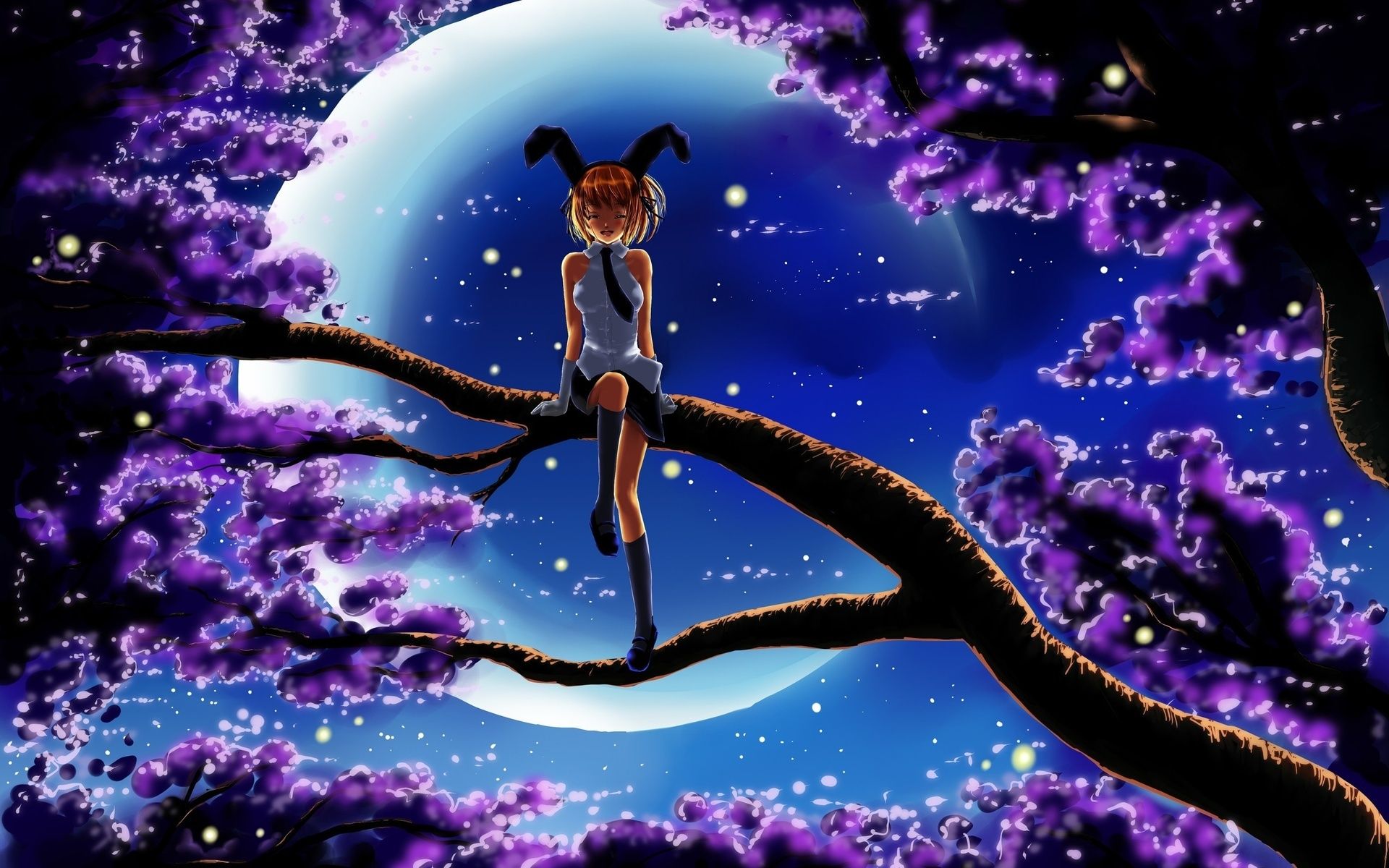 Wallpaper night, tree, branch, girl desktop wallpaper Anime and Fantasy GoodWP.com