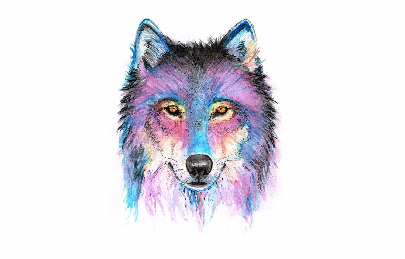 Wallpaper face, paint, wolf, wolf image for desktop, section живопись