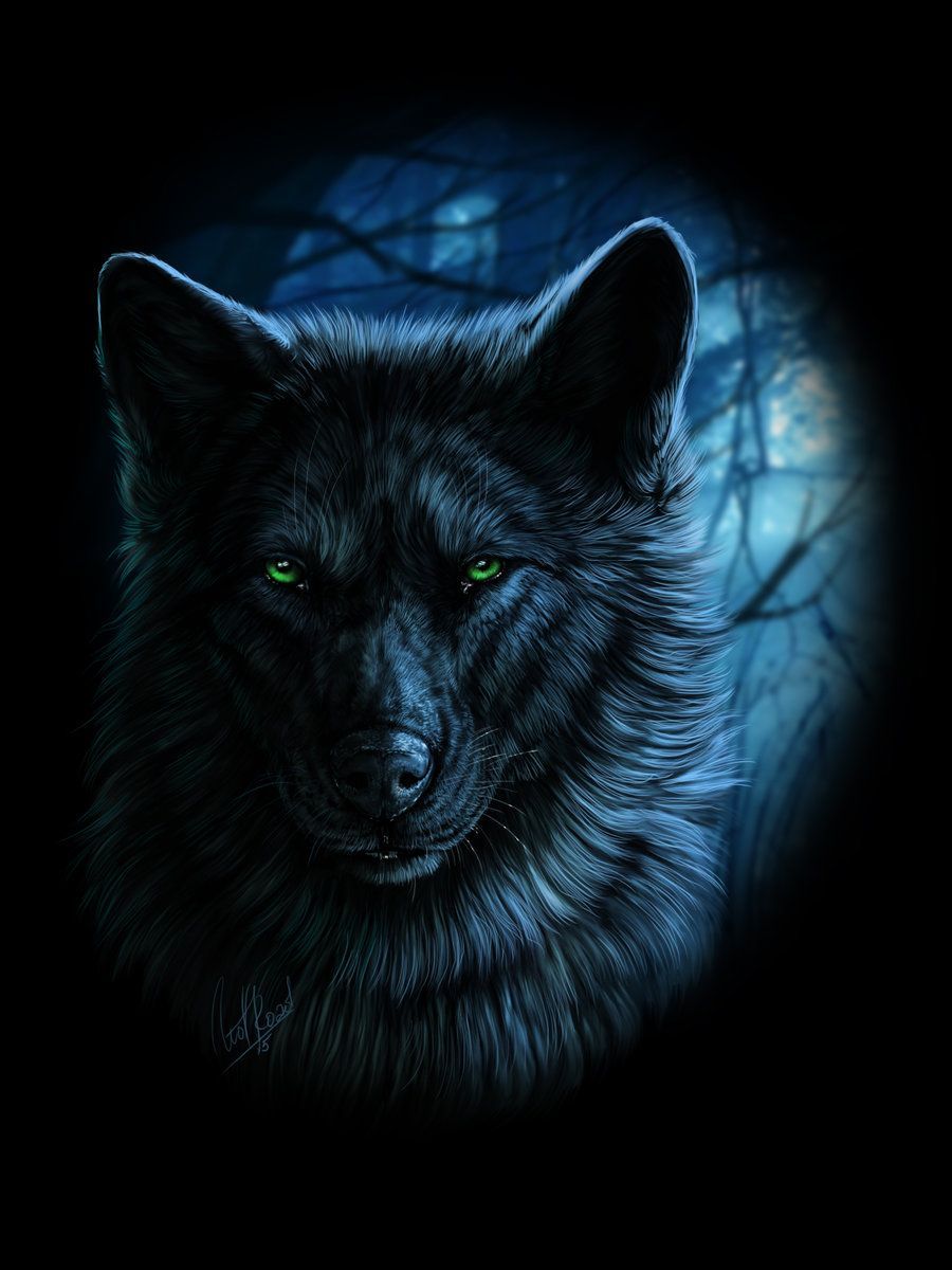 The Green Eyed Handsome Man. Wolf Painting, Wolf Wallpaper, Black Wolf