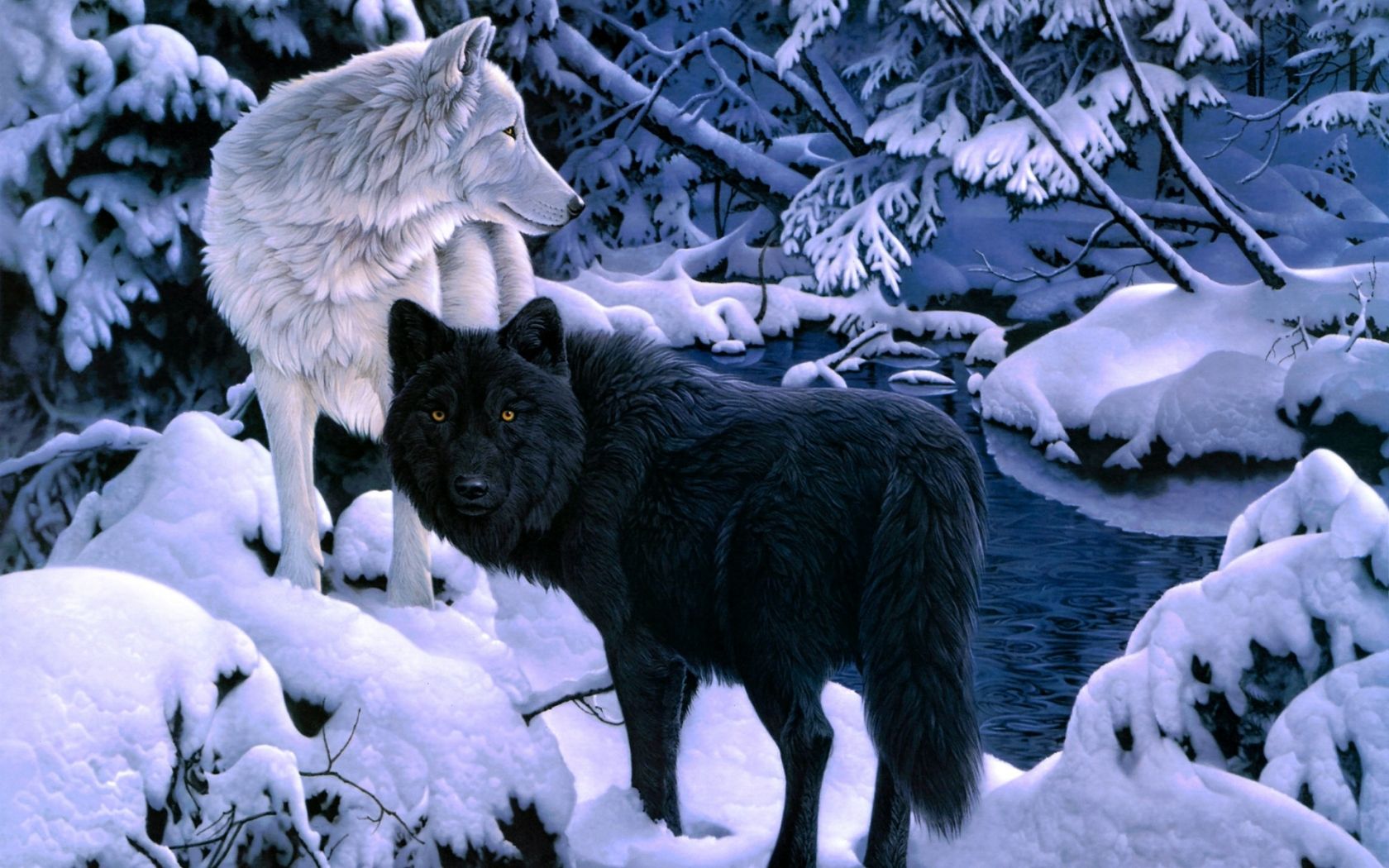 Free download Painted Wolf HD Wallpaper Download HD Wallpaper for Desktop [1920x1200] for your Desktop, Mobile & Tablet. Explore Free HD Wolf Wallpaper. Black Wolf Wallpaper, Image of Wolves for Wallpaper