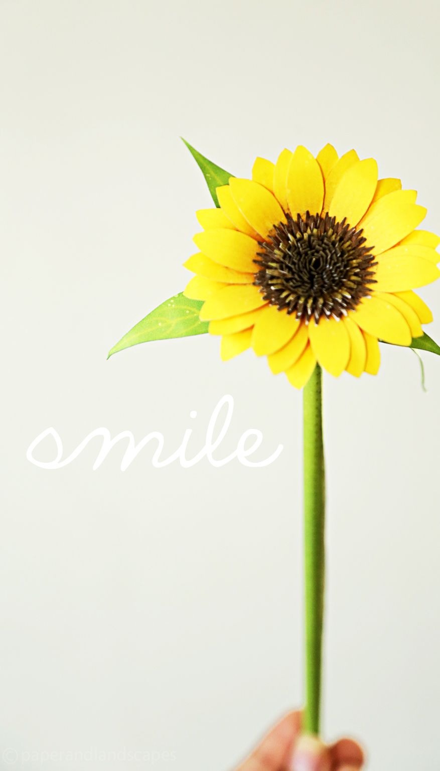 Happy & Positive Wallpaper for your Smartphone and Landscapes