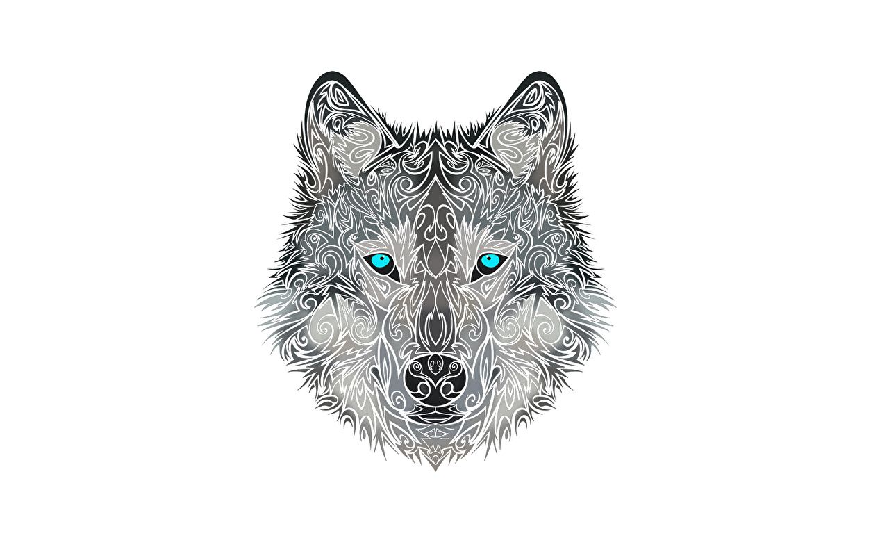 Picture Wolves Animals Painting Art