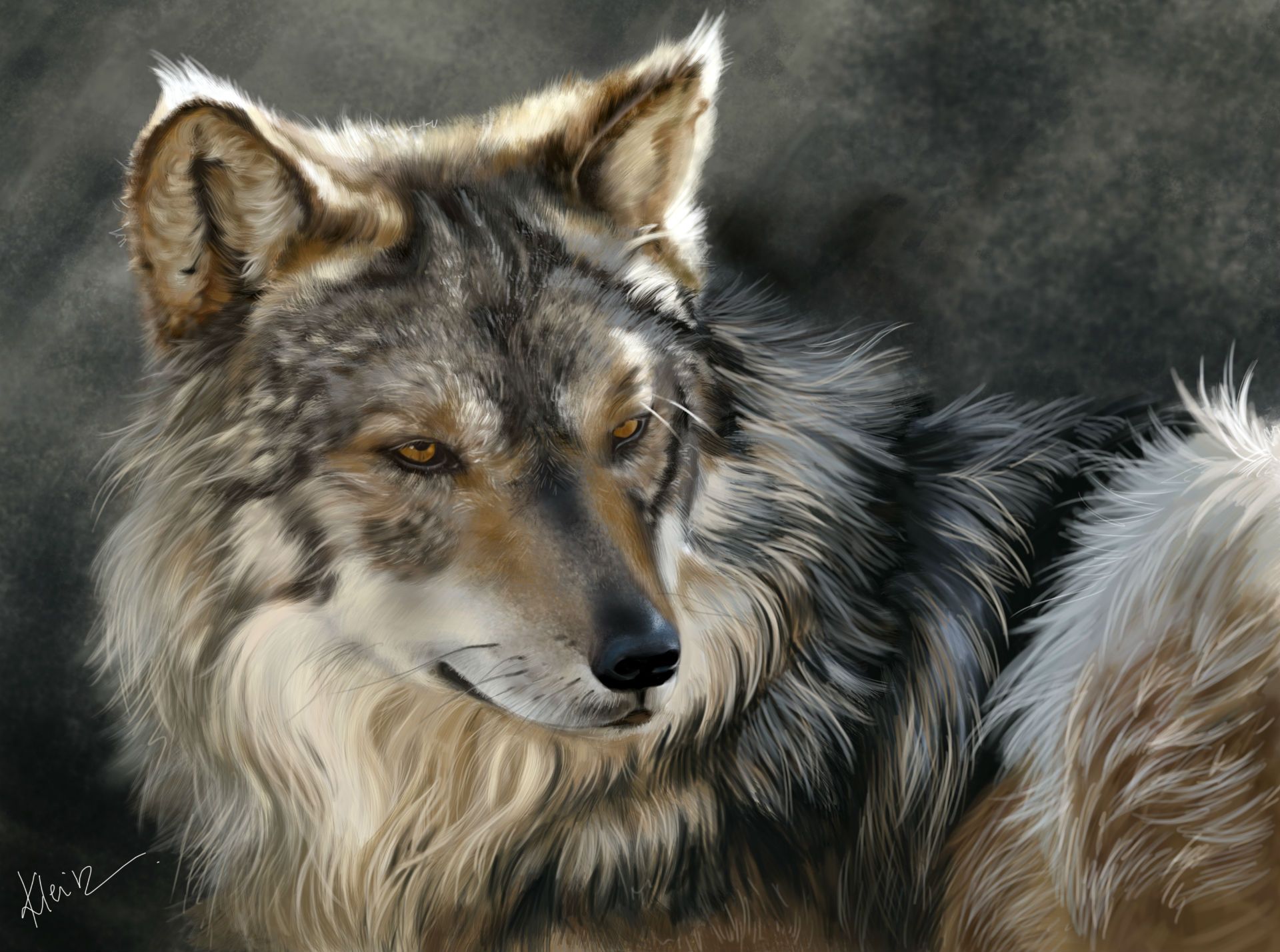 Wolves Painting Art Glance Animals wolf wallpaperx1428