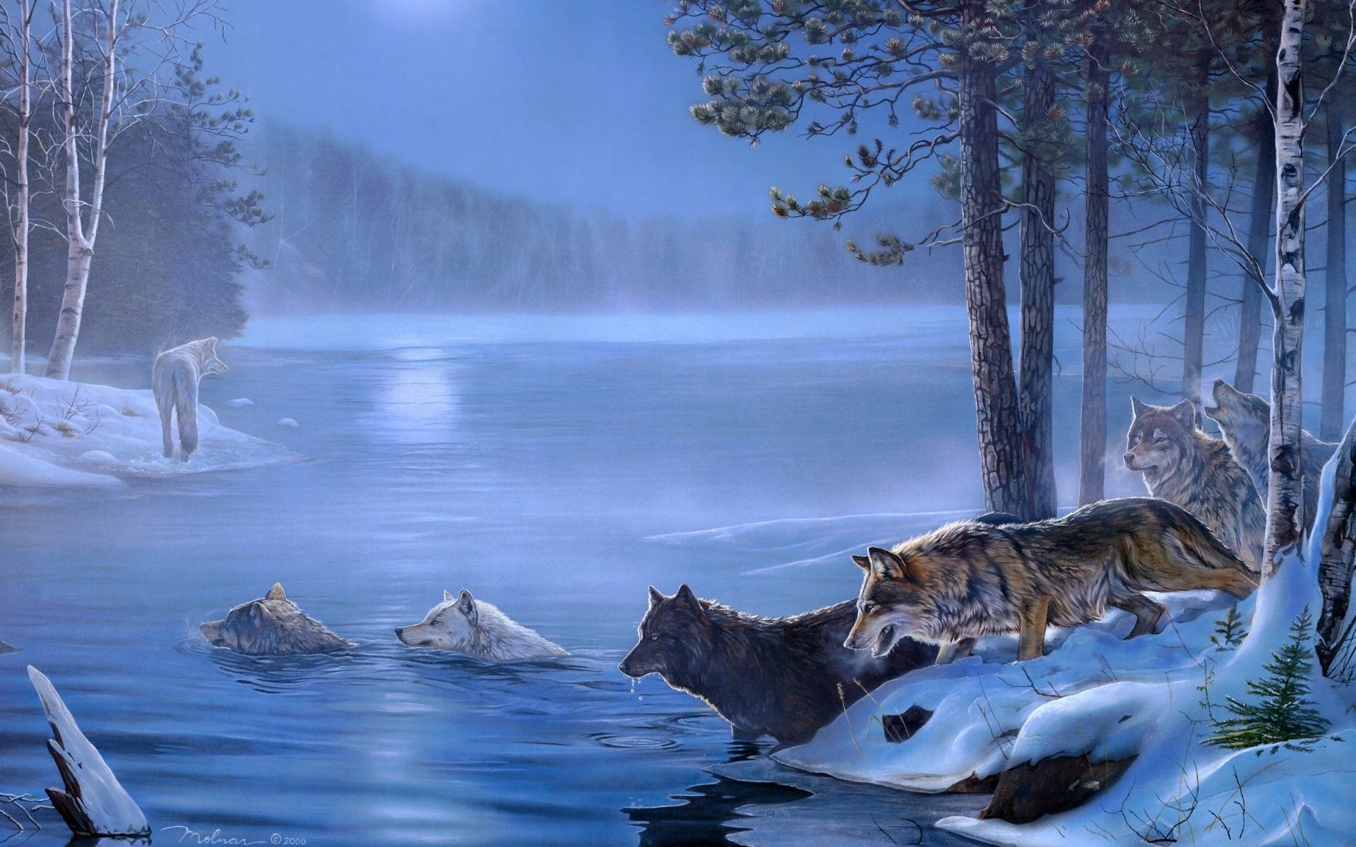 Free download Dogs Paintings Light Art Wolf Rivers Night Wolves Lakes Moon [1920x1200] for your Desktop, Mobile & Tablet. Explore Lighting Wolves Wallpaper. Lighting Wolves Wallpaper, Wallpaper Lighting, Wolves Background