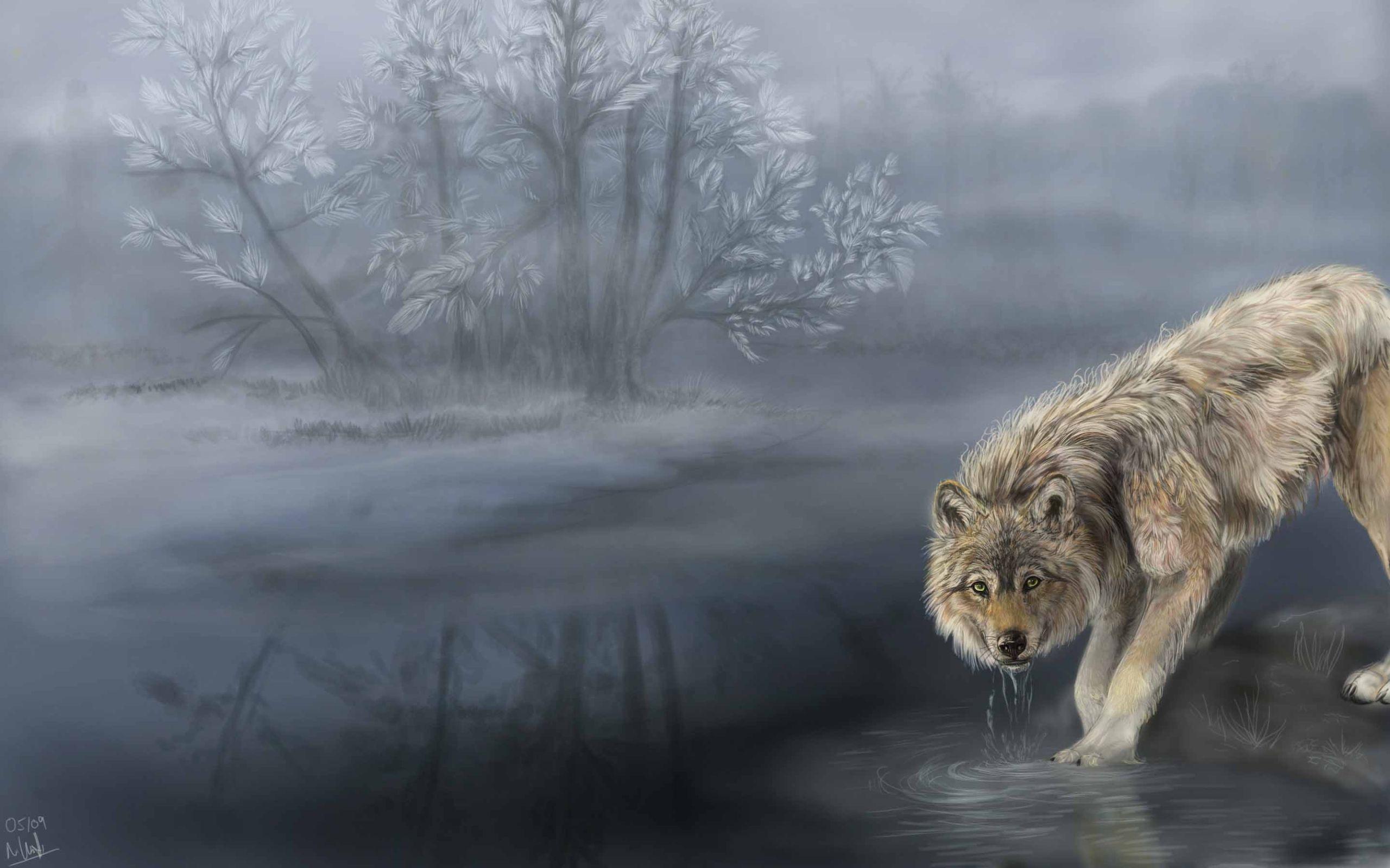 Wolf Drinking Water Painting Mac Wallpaper Download