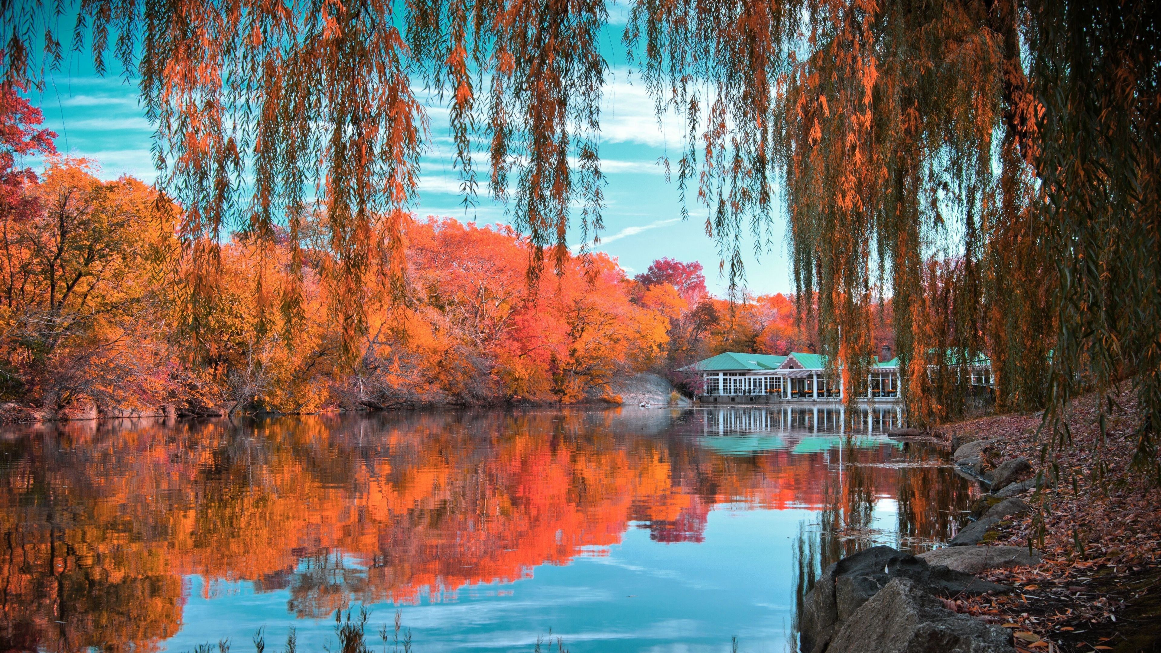 Autumn Central Park Widescreen Wallpaper 60568 3840x2160px