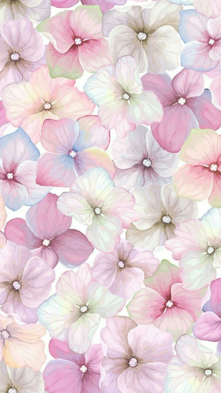 Cartoon Flower Background Images Browse 962096 Stock Photos  Vectors  Free Download with Trial  Shutterstock
