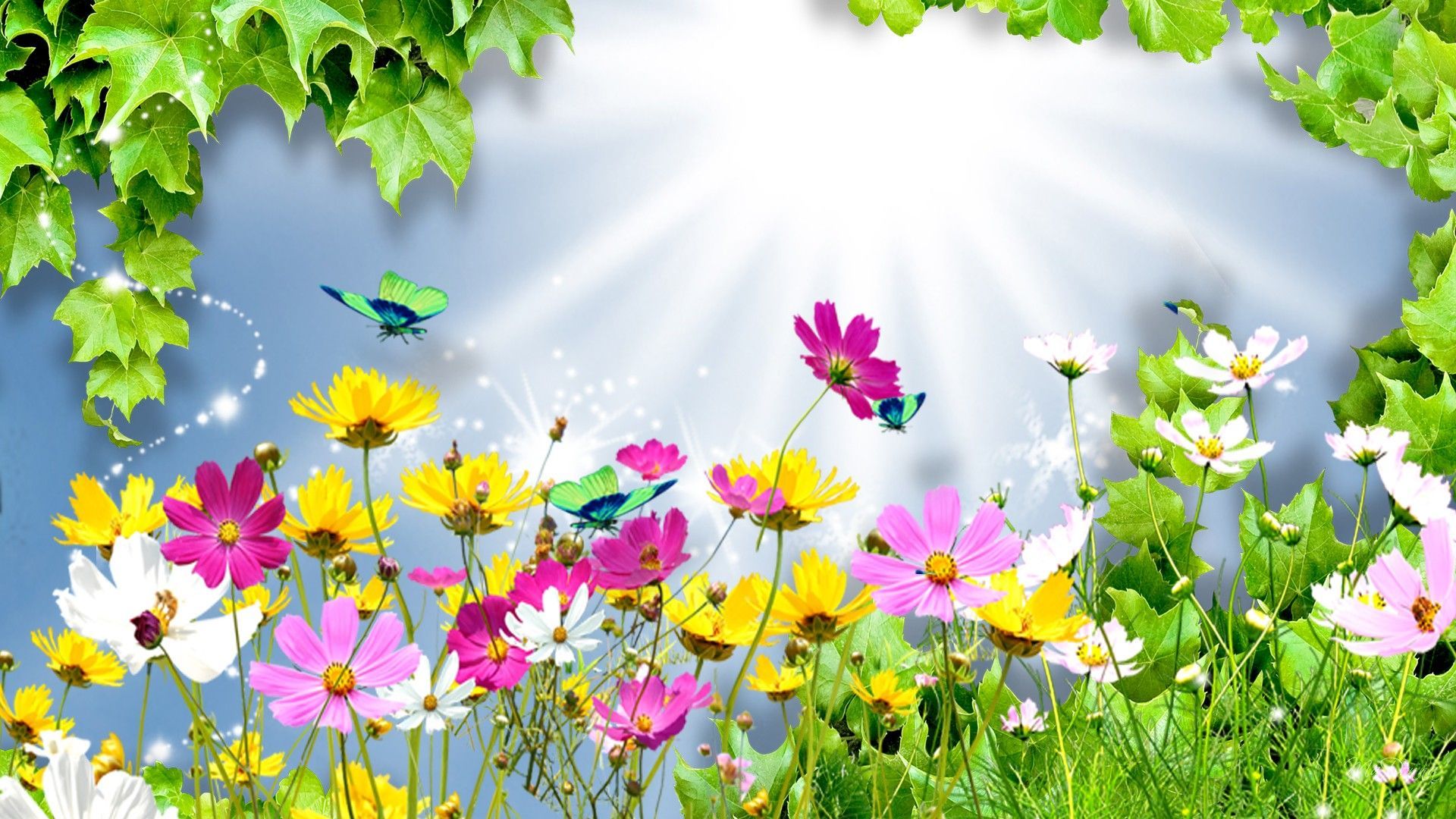 Summer Flowers Wallpaper. Flower wallpaper, Cartoon flowers, Flower picture