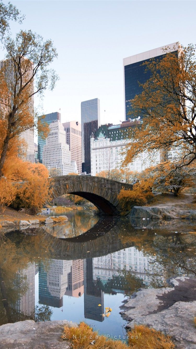 Autumn Central Park New York Wallpaper FREE Picture