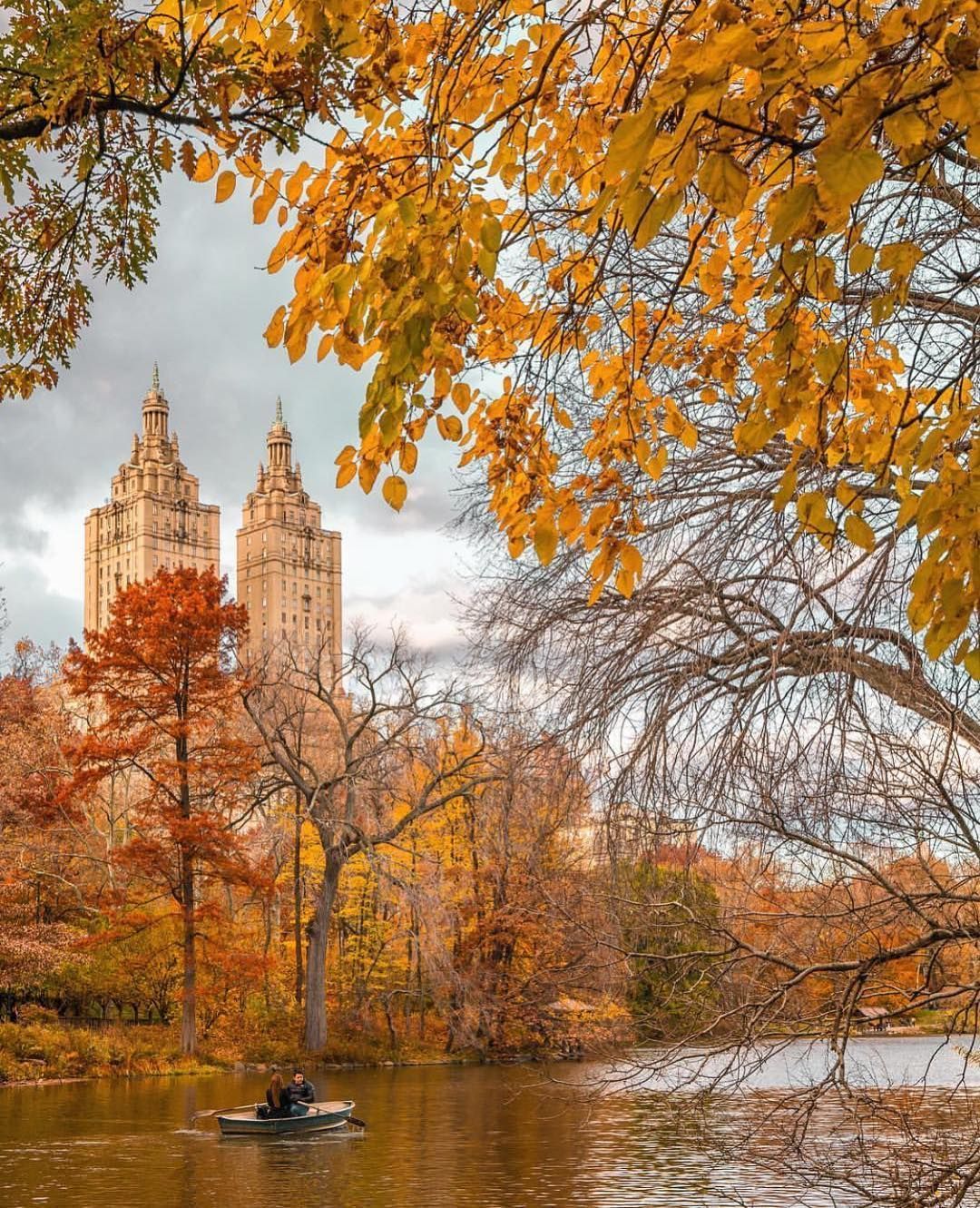 Autumn in Central Park York ✨