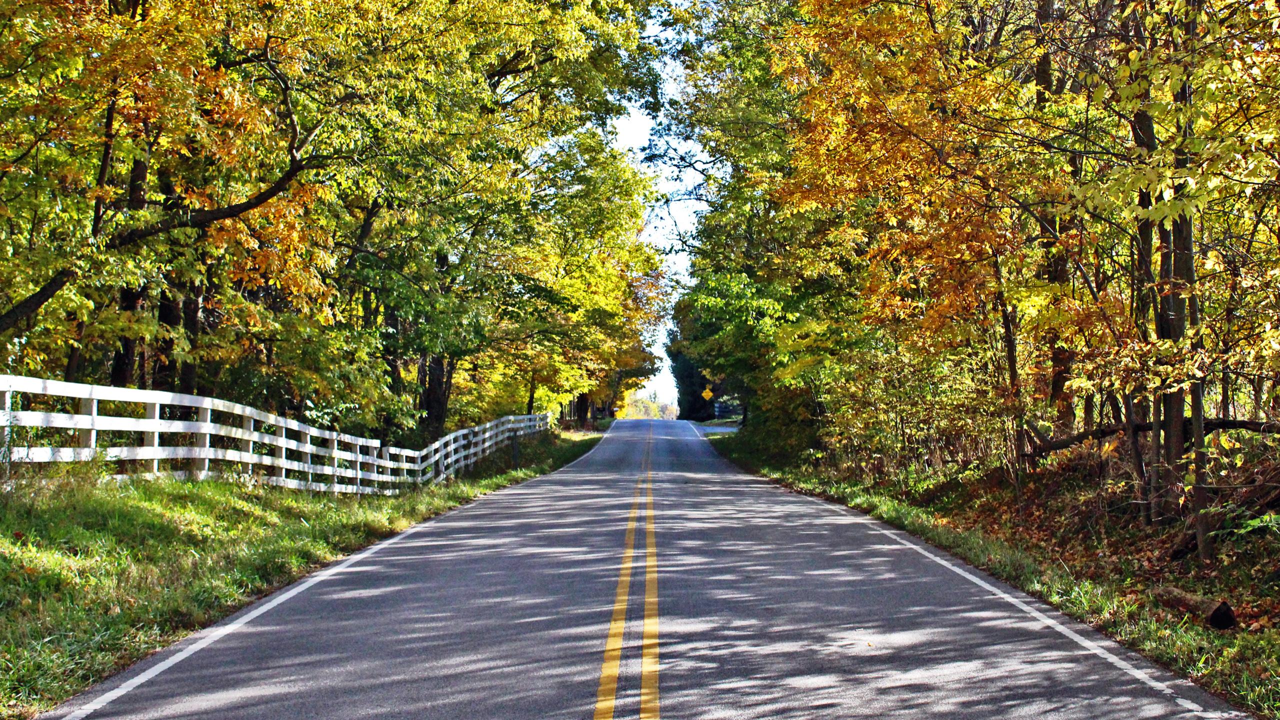 Free download Country road in the fall Wallpaper Desktop [2560x1440] for your Desktop, Mobile & Tablet. Explore Country Roads Wallpaper. Country Music Desktop Wallpaper, Beautiful Country Desktop Wallpaper