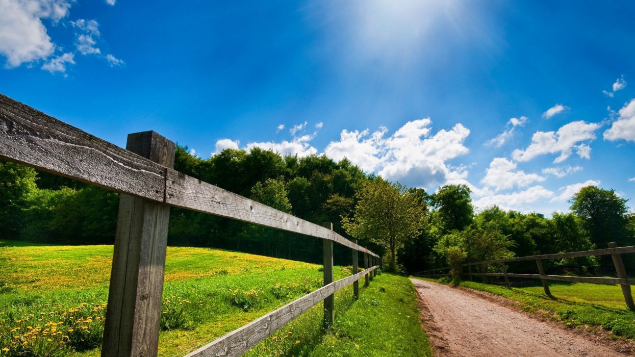 Summer country road wallpaperx1440