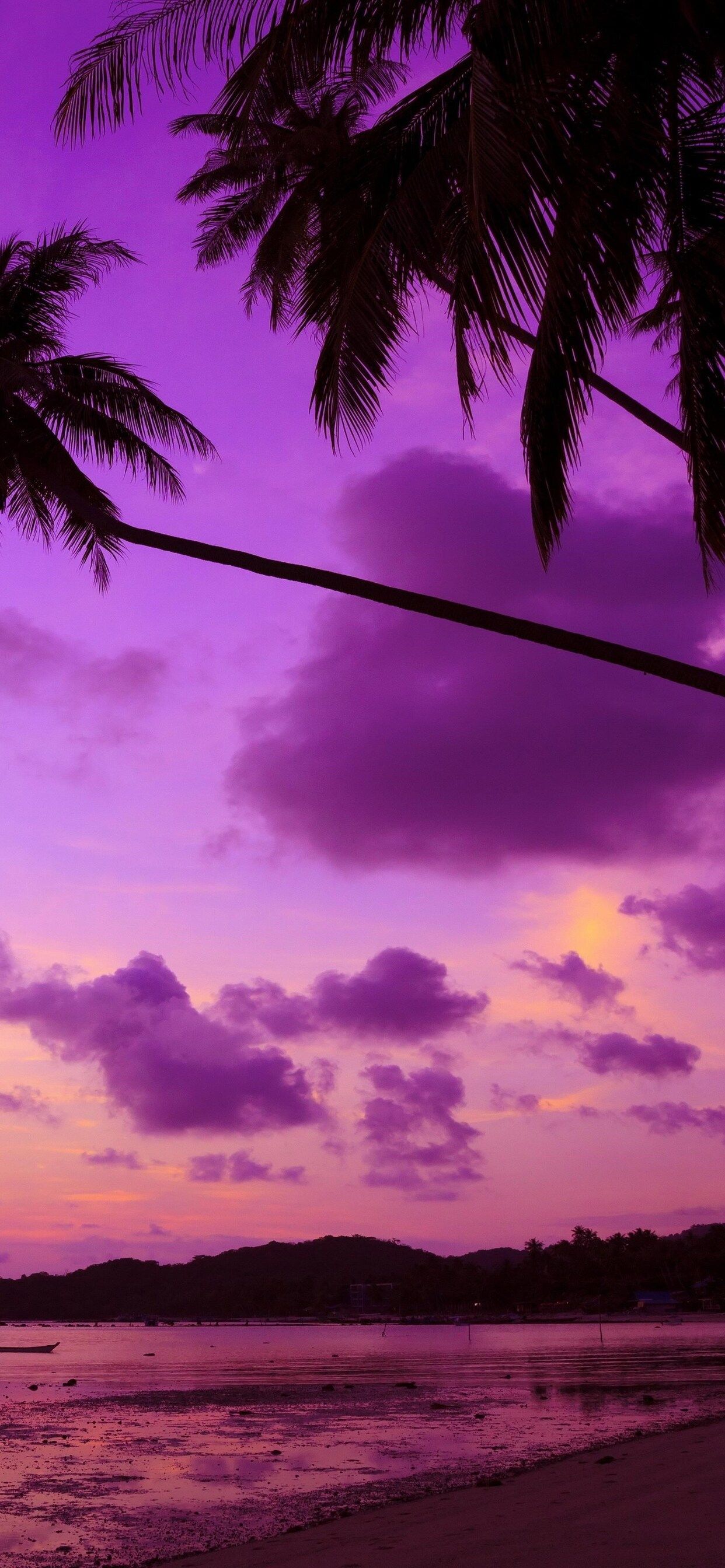 Purple Palm Tree iPhone XS MAX HD 4k Wallpaper, Image, Background, Photo and Picture