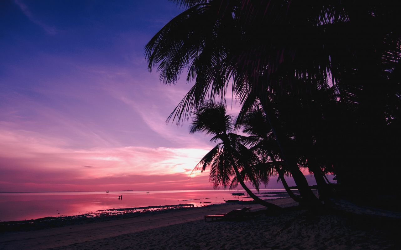 Download Palm trees, beach, nature, sunset wallpaper, 1280x Full HD, HDTV, FHD, 1080p, Widescreen