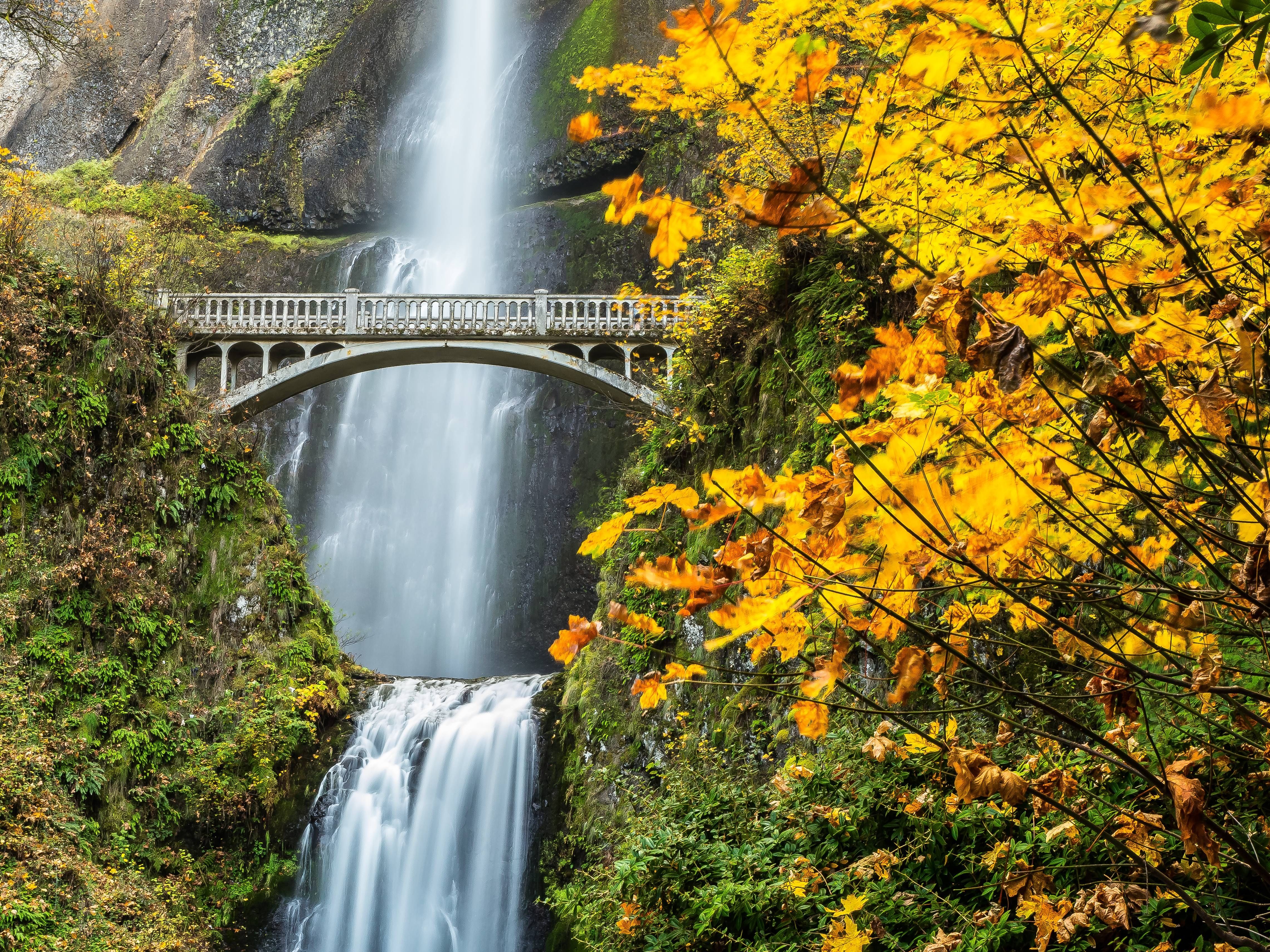 Multnomah Falls Columbia River Gorge Oregon waterfall autumn wallpaperx3420