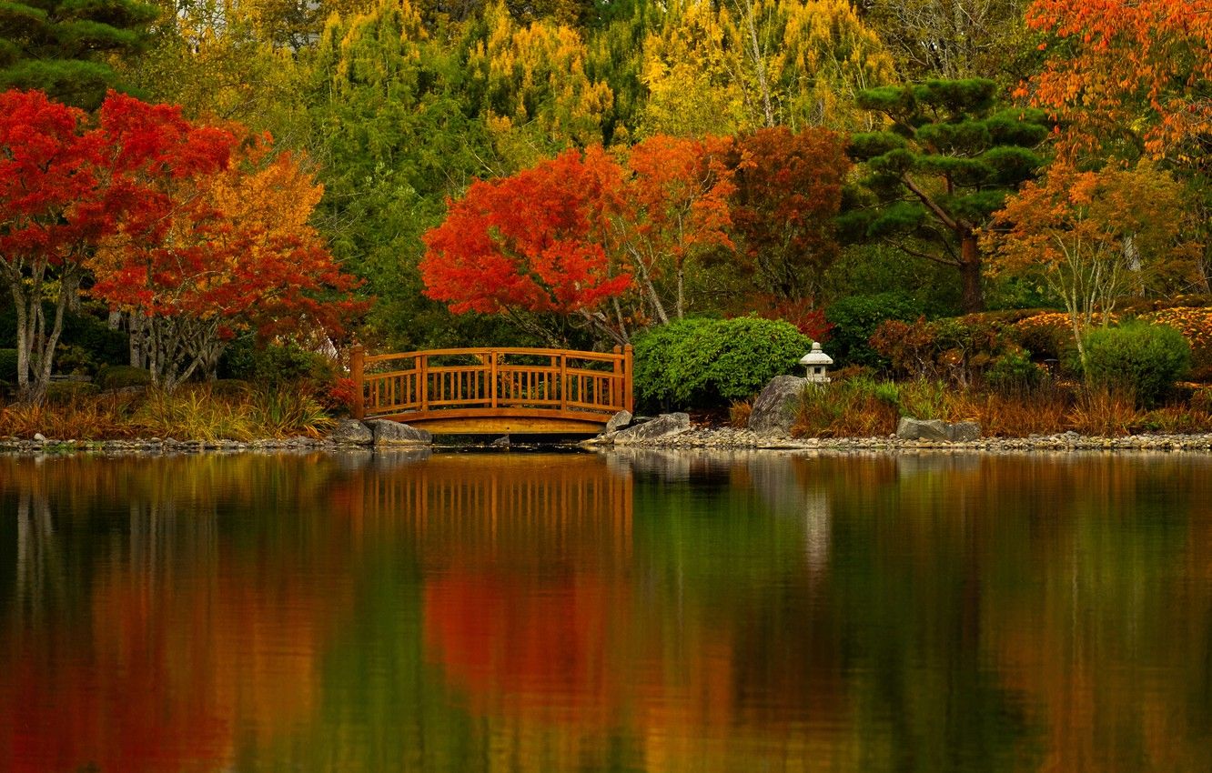 Wallpaper autumn, trees, bridge, lake, pond, Oregon, Oregon, pond, Japanese garden, Nissho Iwai Garden, Beaverton, Beaverton image for desktop, section пейзажи