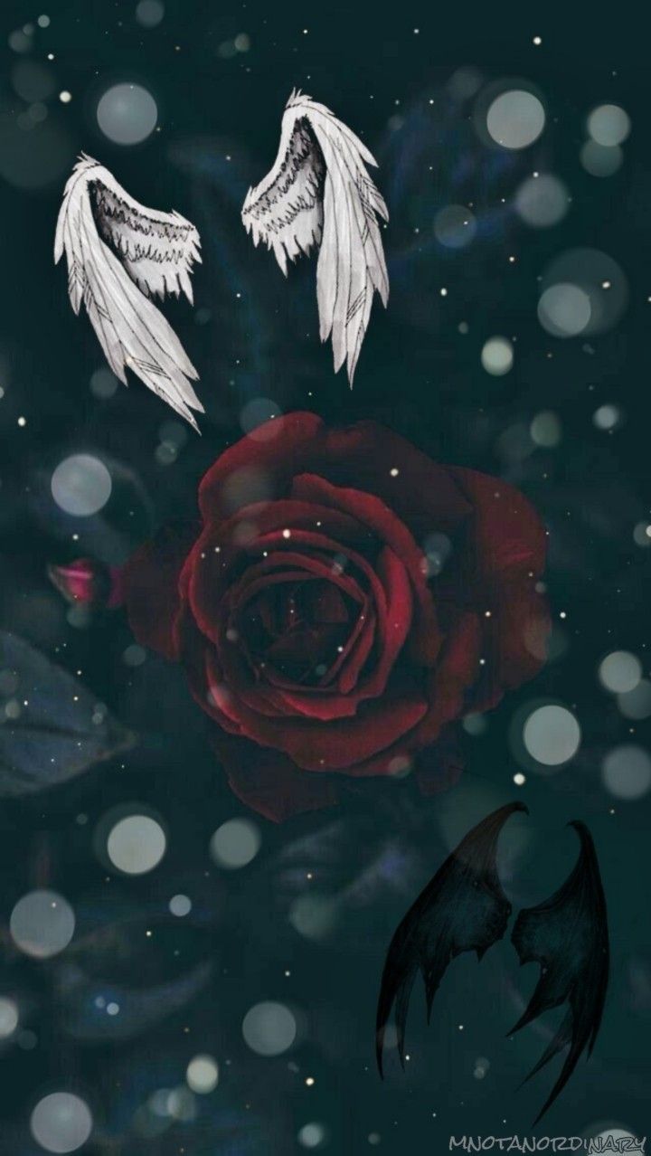 Dark rose angel demon wallpaper. Disney phone wallpaper, Angel wallpaper, Cute wallpaper background