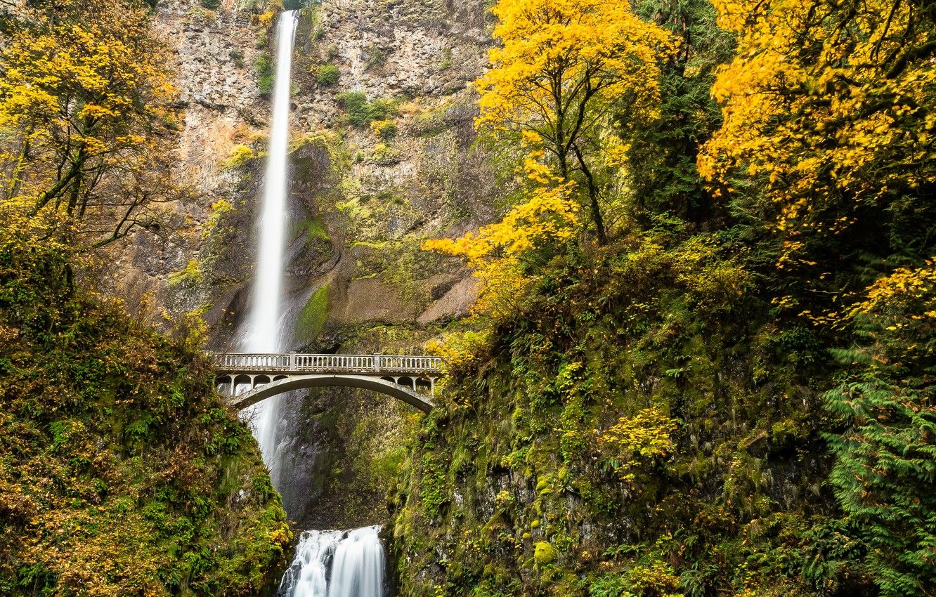 Wallpaper autumn, forest, trees, bridge, river, waterfall, stream, USA, Oregon image for desktop, section природа