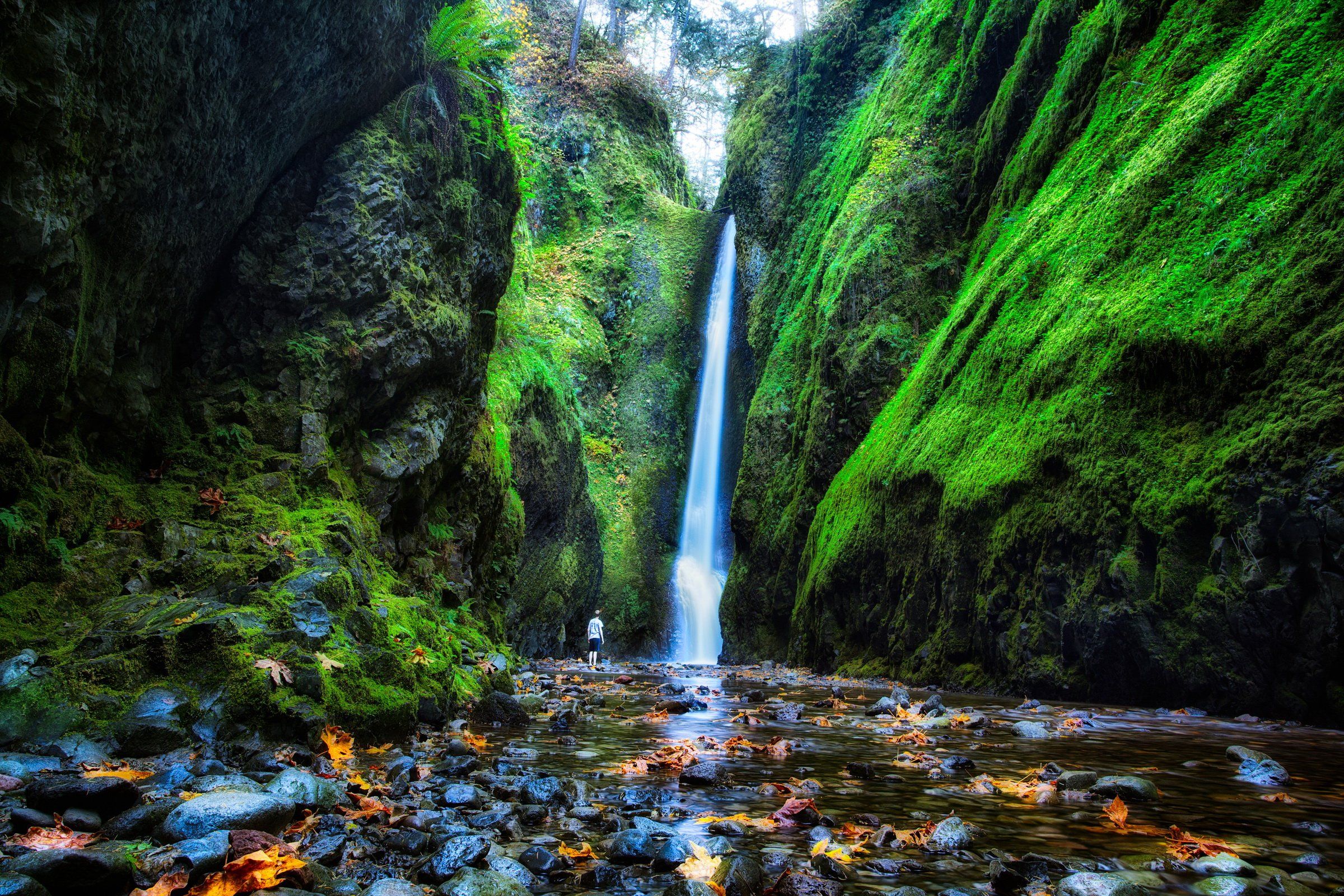 usa, Waterfalls, Oneonta, Falls, Oregon, Moss, Crag, Nature, Autumn Wallpaper HD / Desktop and Mobile Background