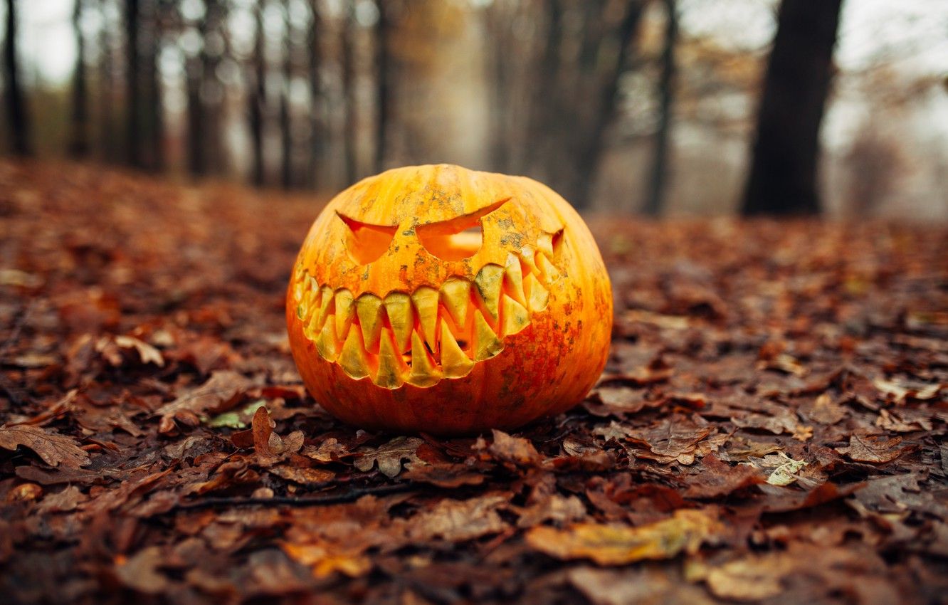 Wallpaper autumn, leaves, pumpkin, Halloween, halloween, autumn, leaves, pumpkin image for desktop, section праздники