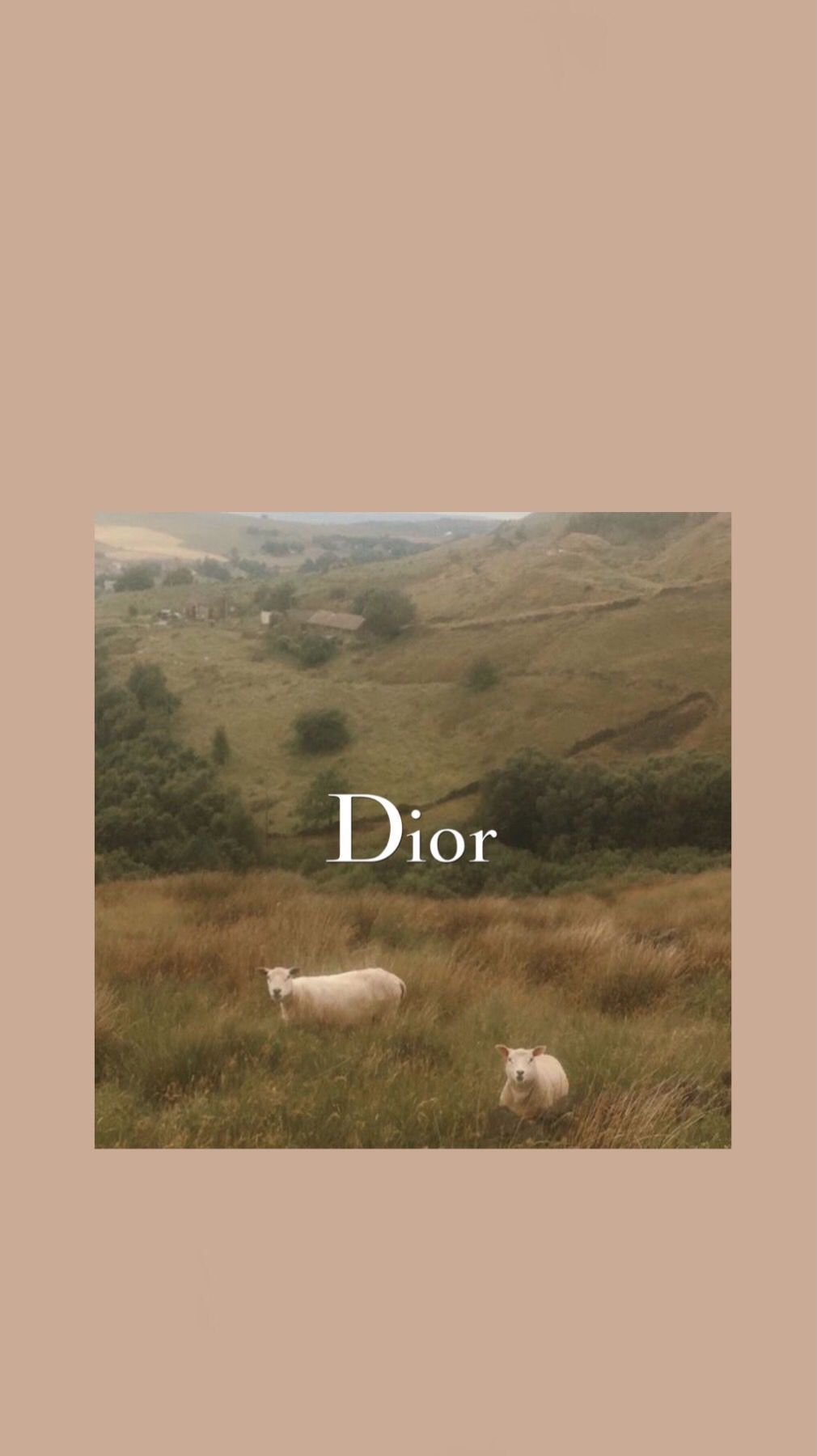Lambs Dior Wallpaper. Dior wallpaper, Hype wallpaper, Iconic wallpaper