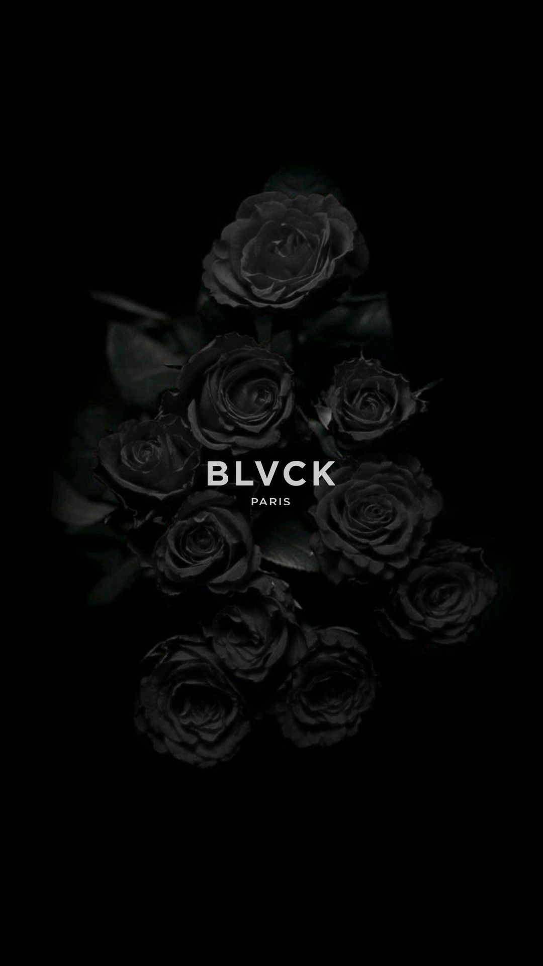 Black Roses Wallpaper. Black roses wallpaper, Black and white aesthetic, Black rose