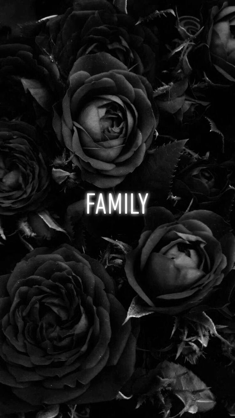 Instagram icons. Black roses wallpaper, Cool black wallpaper, Rose wallpaper
