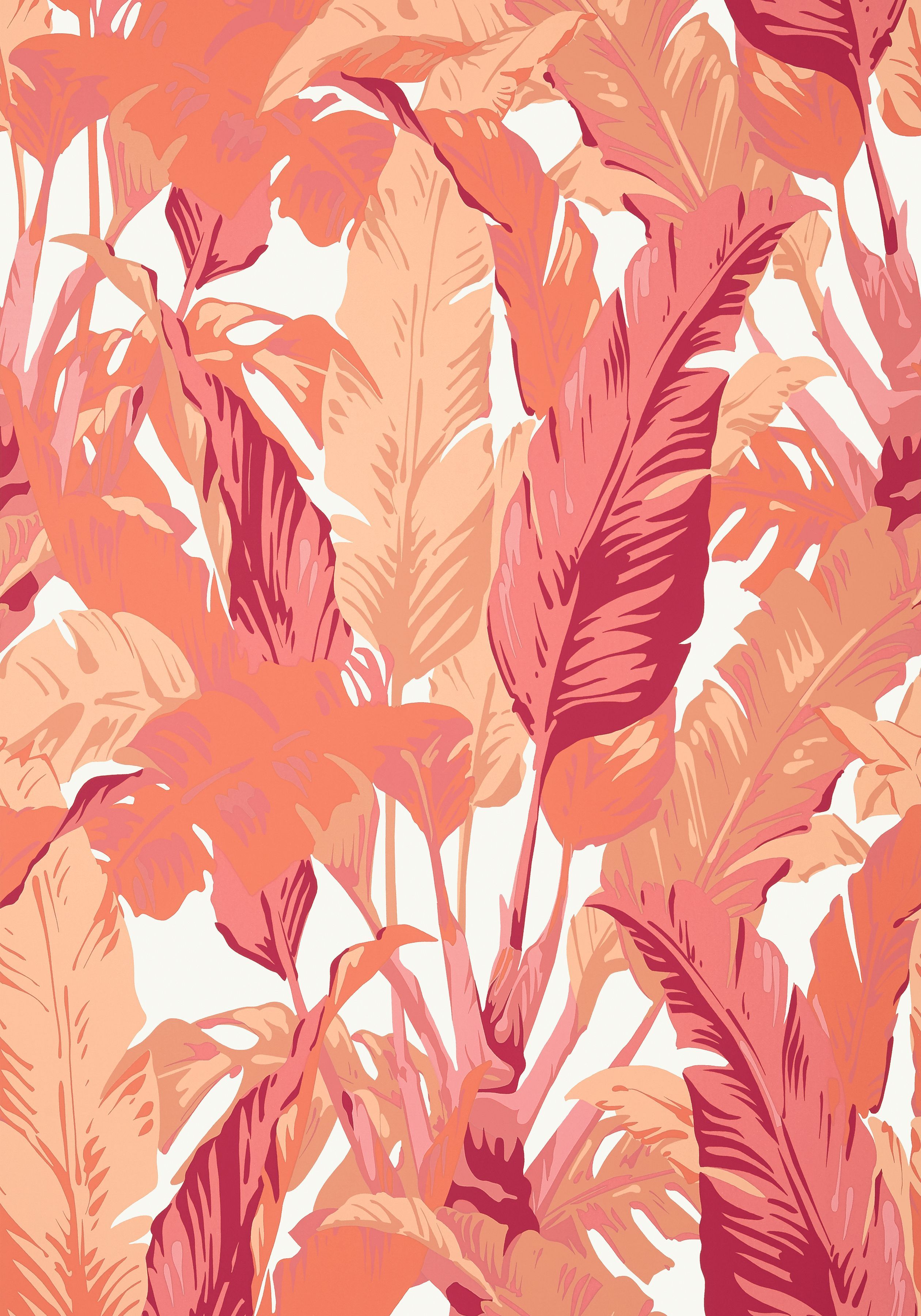 TRAVELERS PALM, Pink and Coral, T Collection Tropics from Thibaut. Coral wallpaper, Palm wallpaper, Tropical background