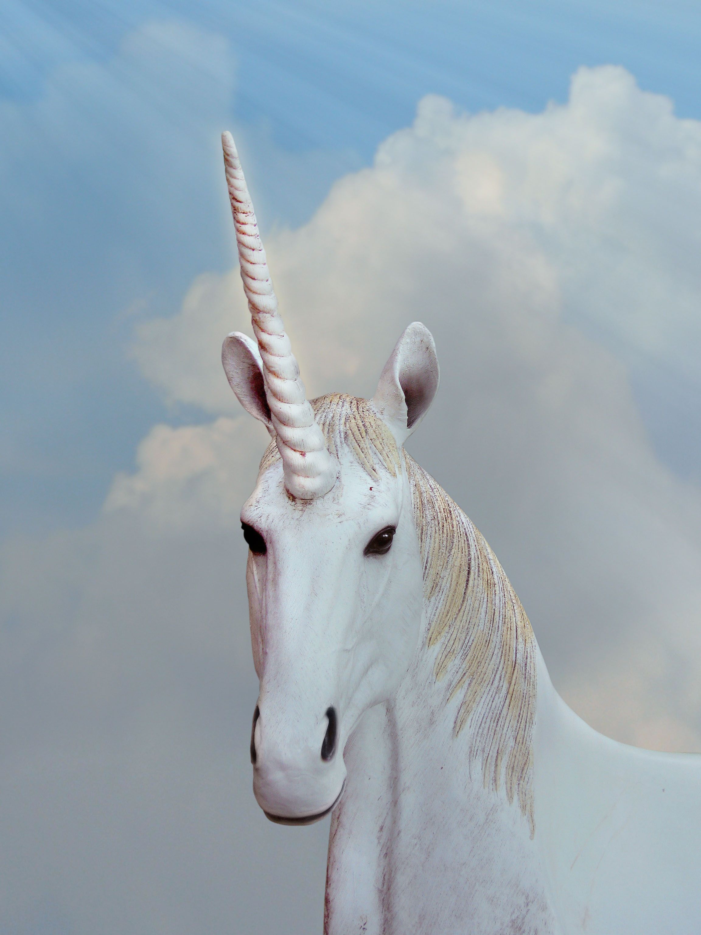 Sparkle Rose Gold Unicorn Wallpapers