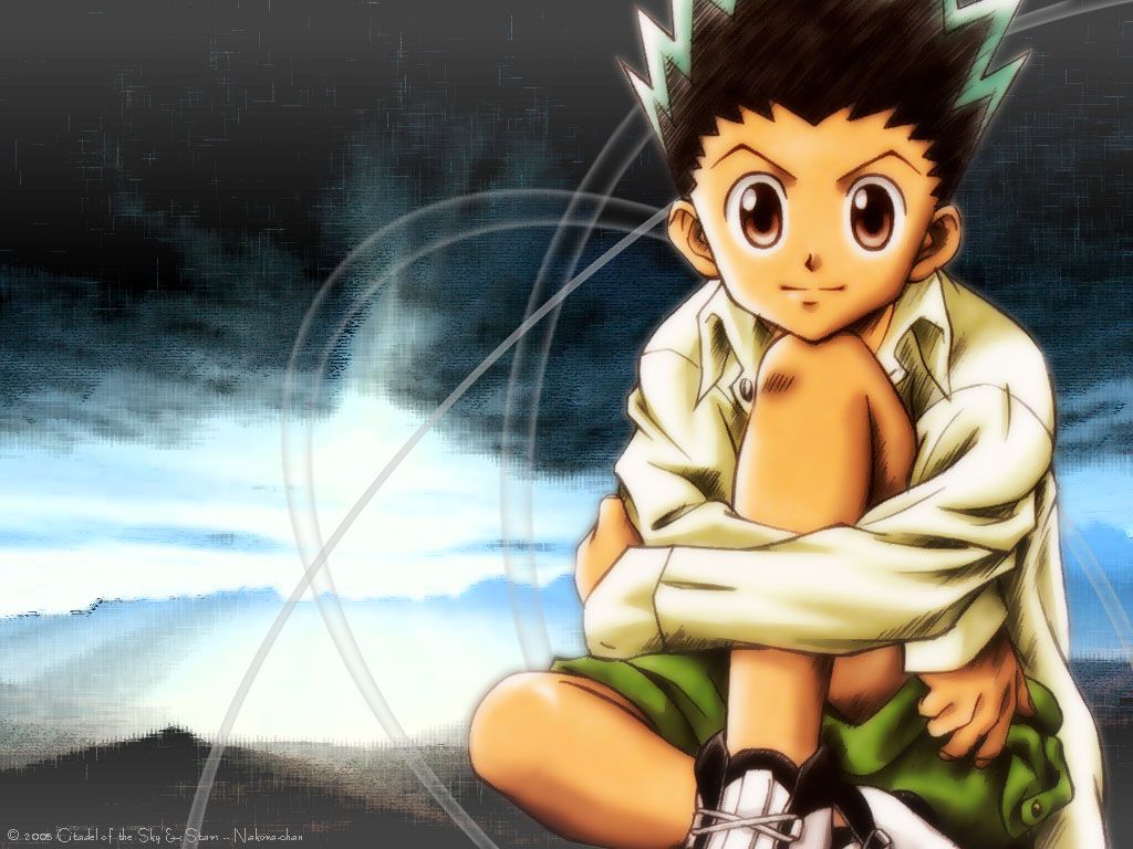 Gon Freecss and Scan Gallery