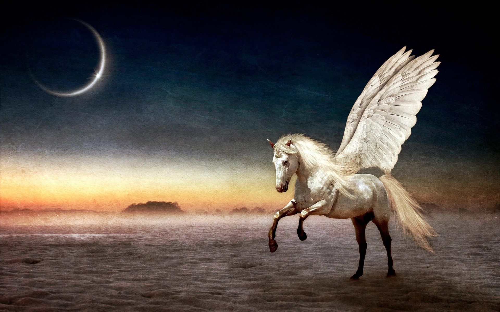 Pegasus Flying Horse Wallpaper For Desktop, PC & Mobile. Horse wallpaper, Horses, Pegasus