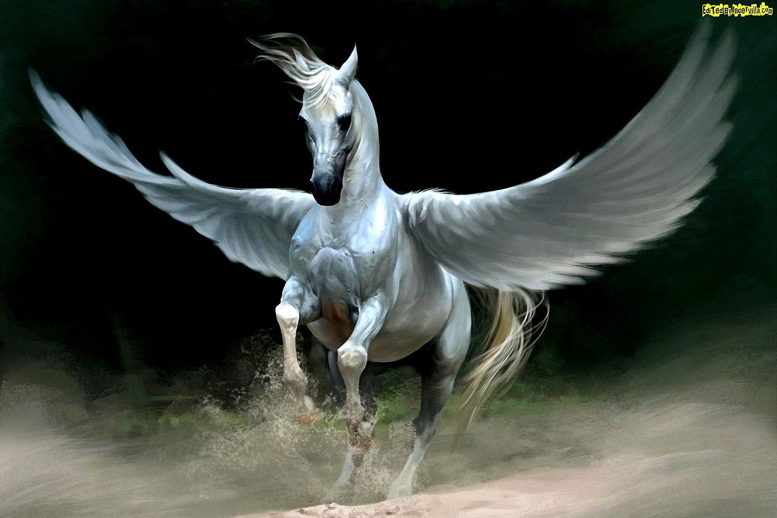 pegasus. Download Pegasus Wallpaper Download HD HD Wallpaper. Horse wallpaper, Greek mythological creatures, Winged horse