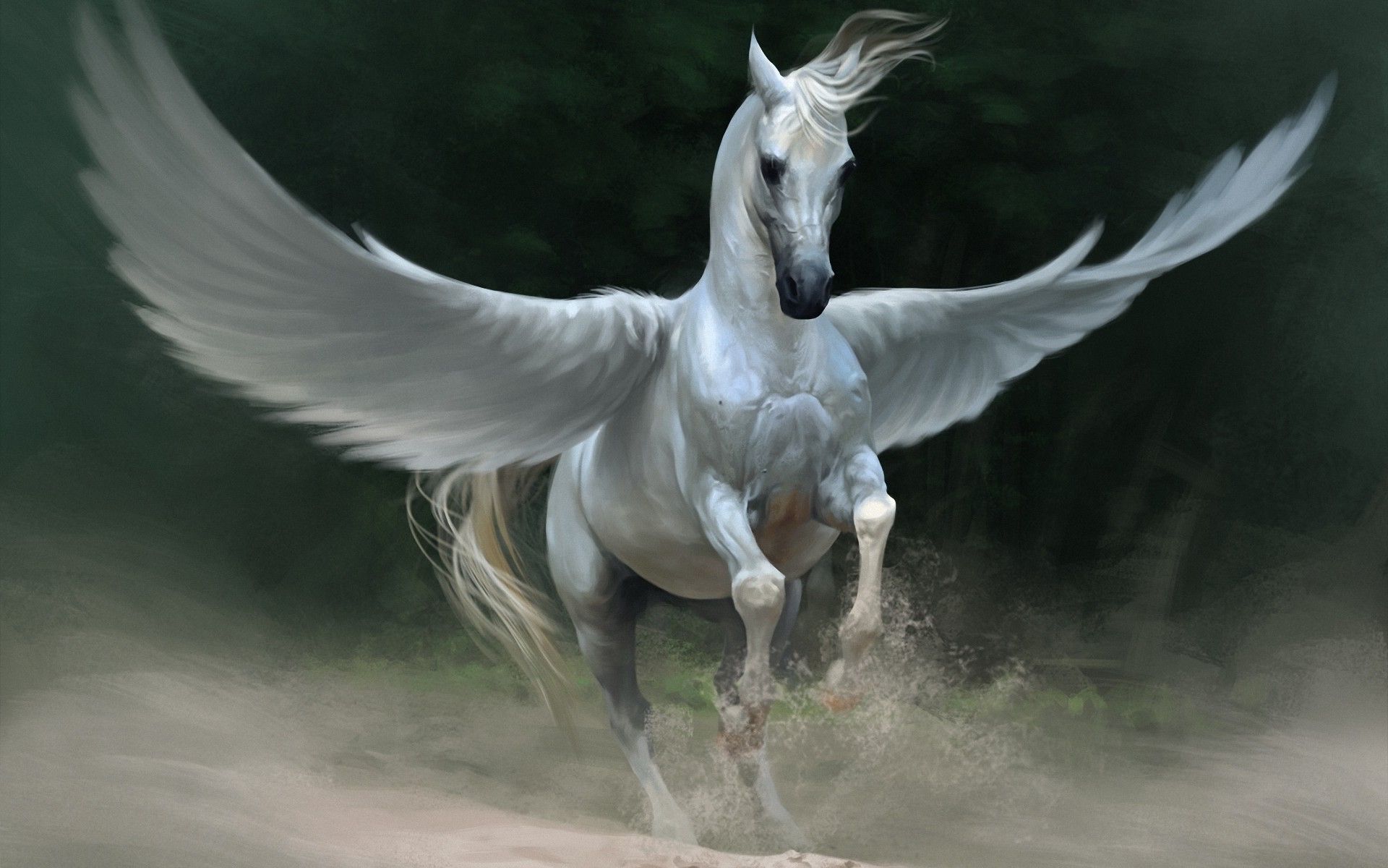 winged horse picture. Flying horses wallpaper and image. Horse wallpaper, Greek mythological creatures, Winged horse