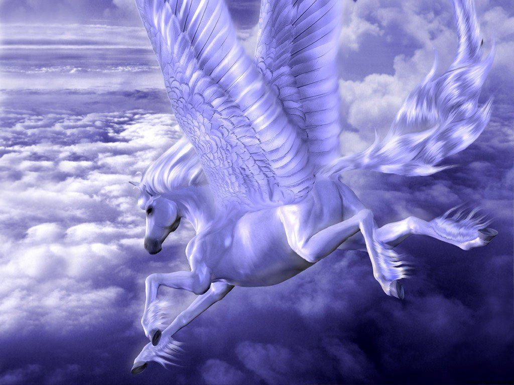 Entertainment Only: Best Horses Wallpaper
