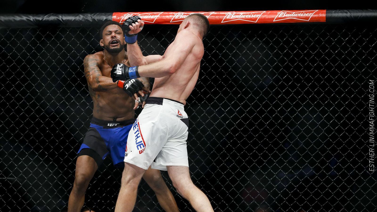 Justin Gaethje Wallpapers - Wallpaper Cave