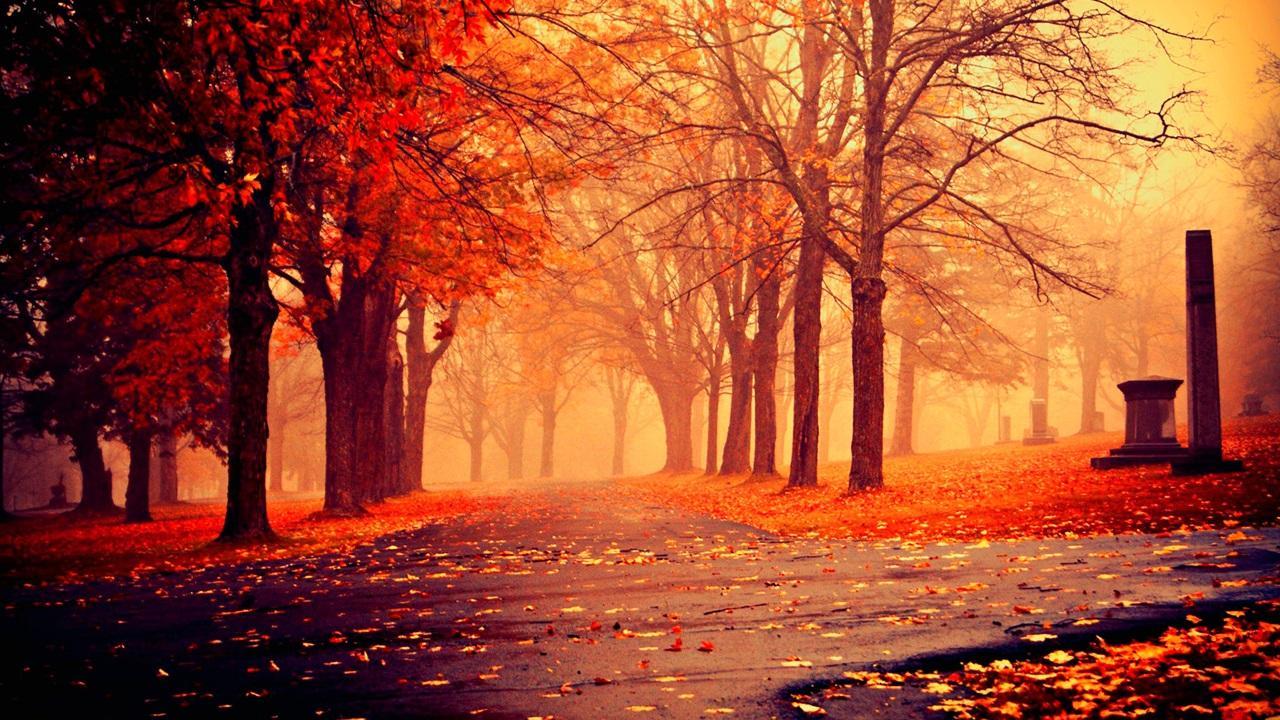 Autumn Beautiful HD Wallpaper for Android