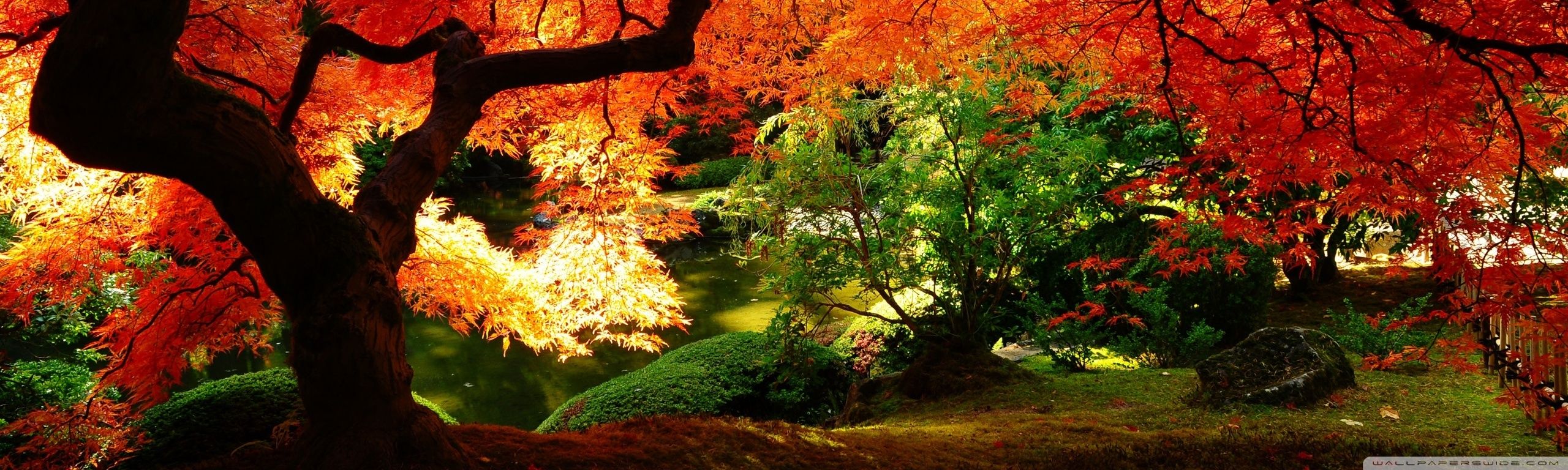 Beautiful Autumn Ultra HD Desktop Background Wallpaper for: Multi Display, Dual Monitor, Tablet